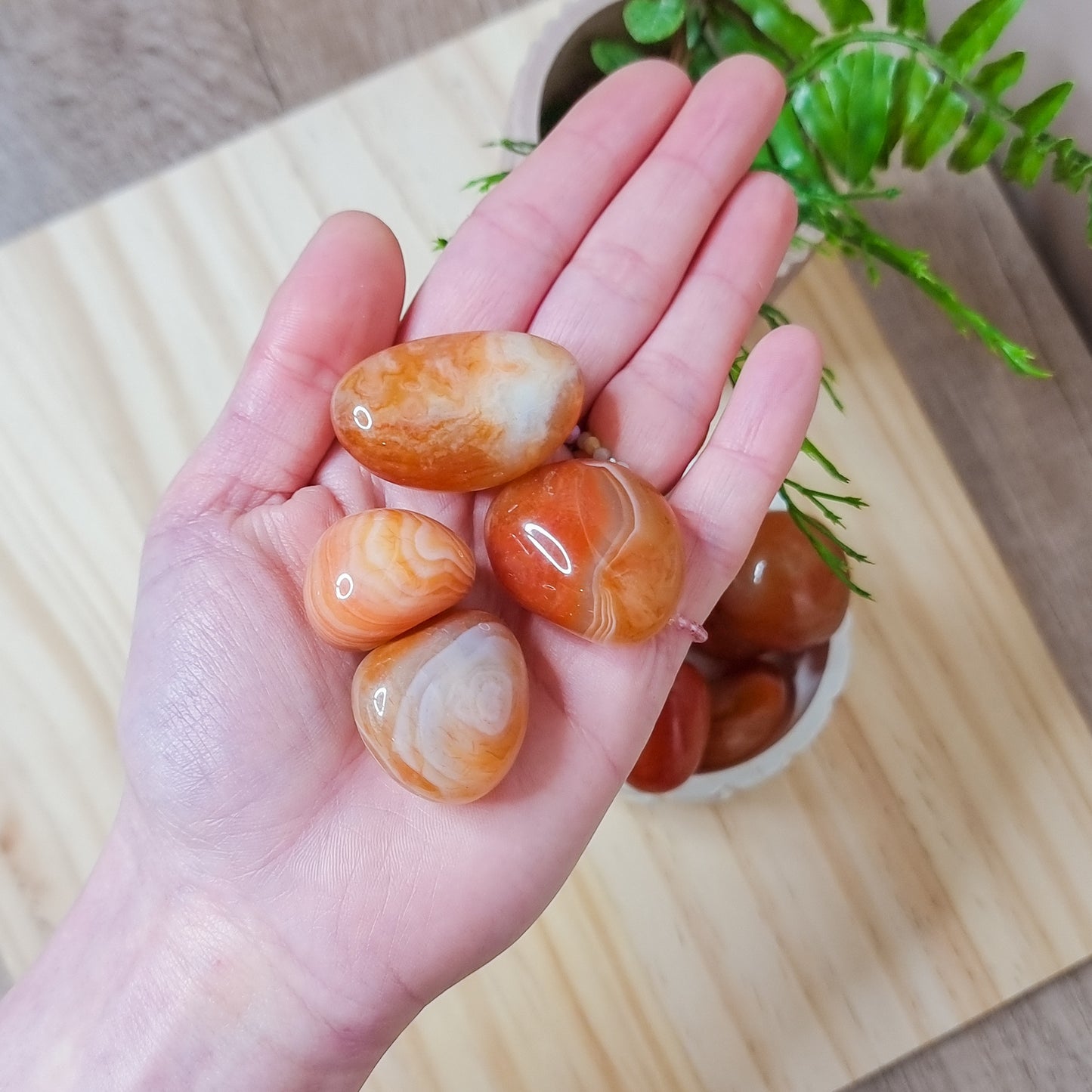 Large Carnelian Tumbled Stones