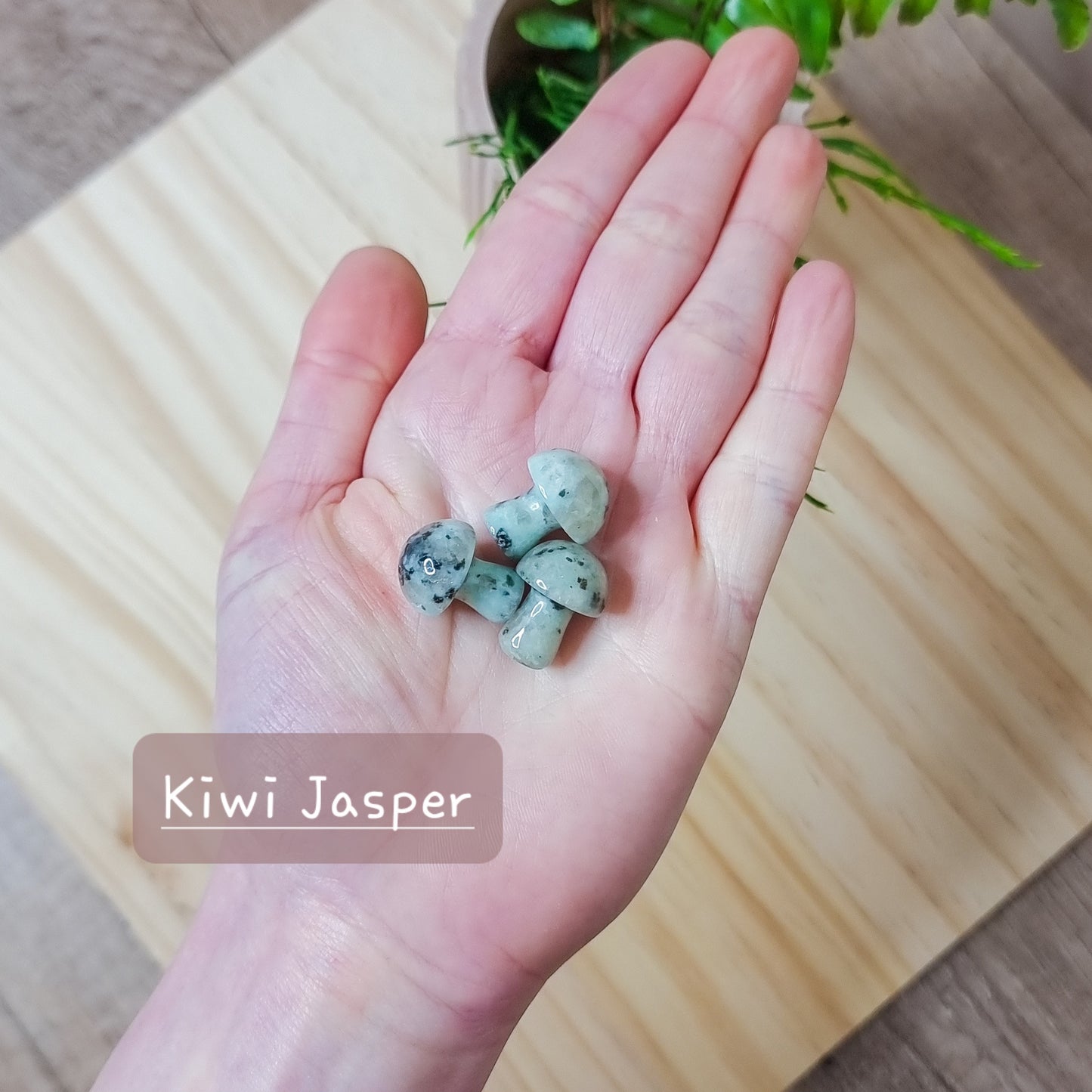 Mini Crystal Mushrooms