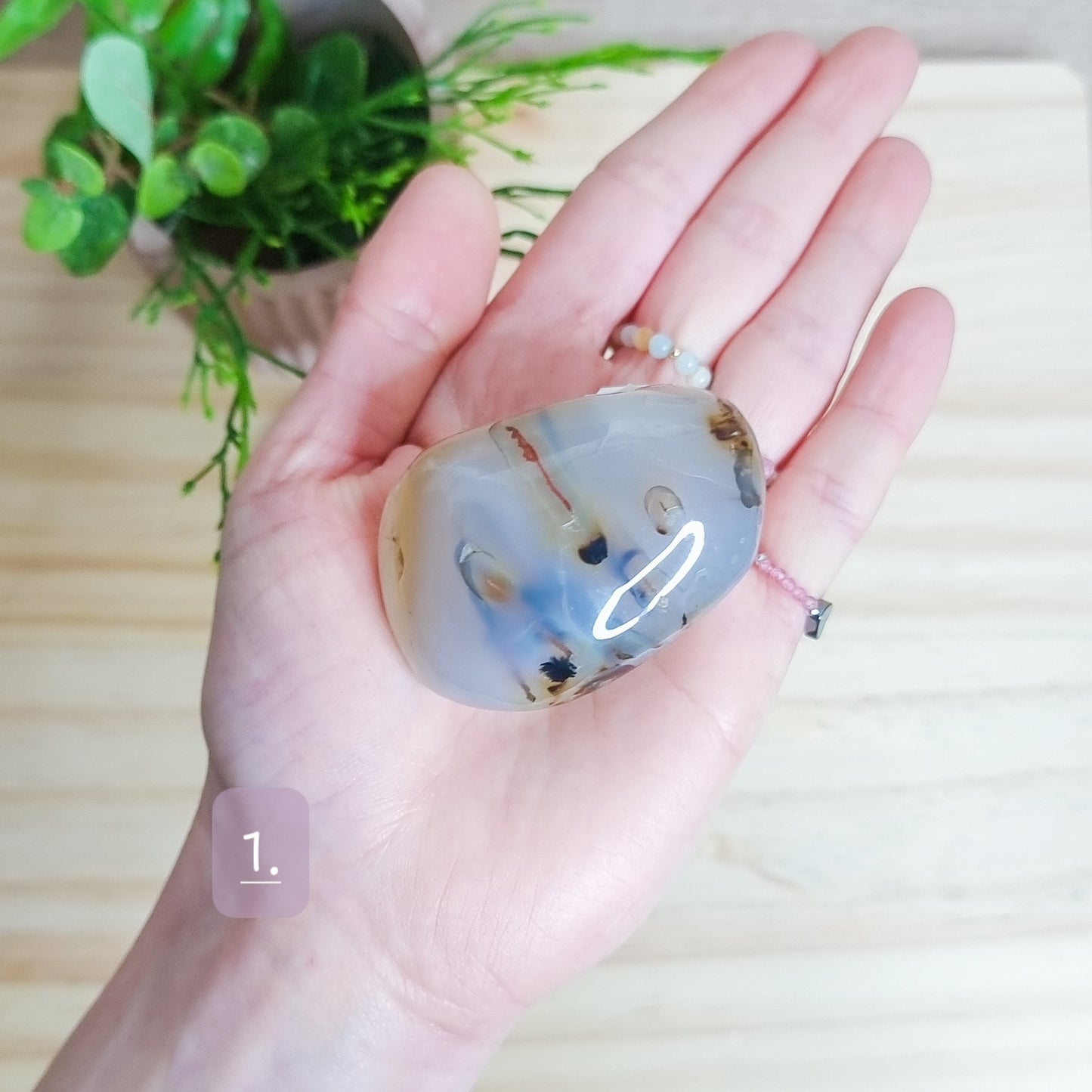 Dendritic Agate Palm Stone