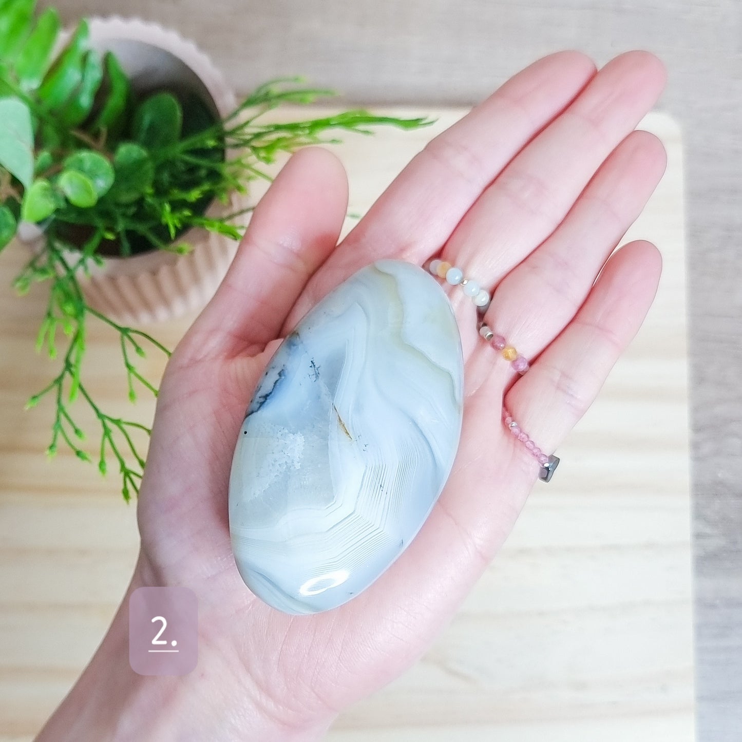 Dendritic Agate Palm Stone