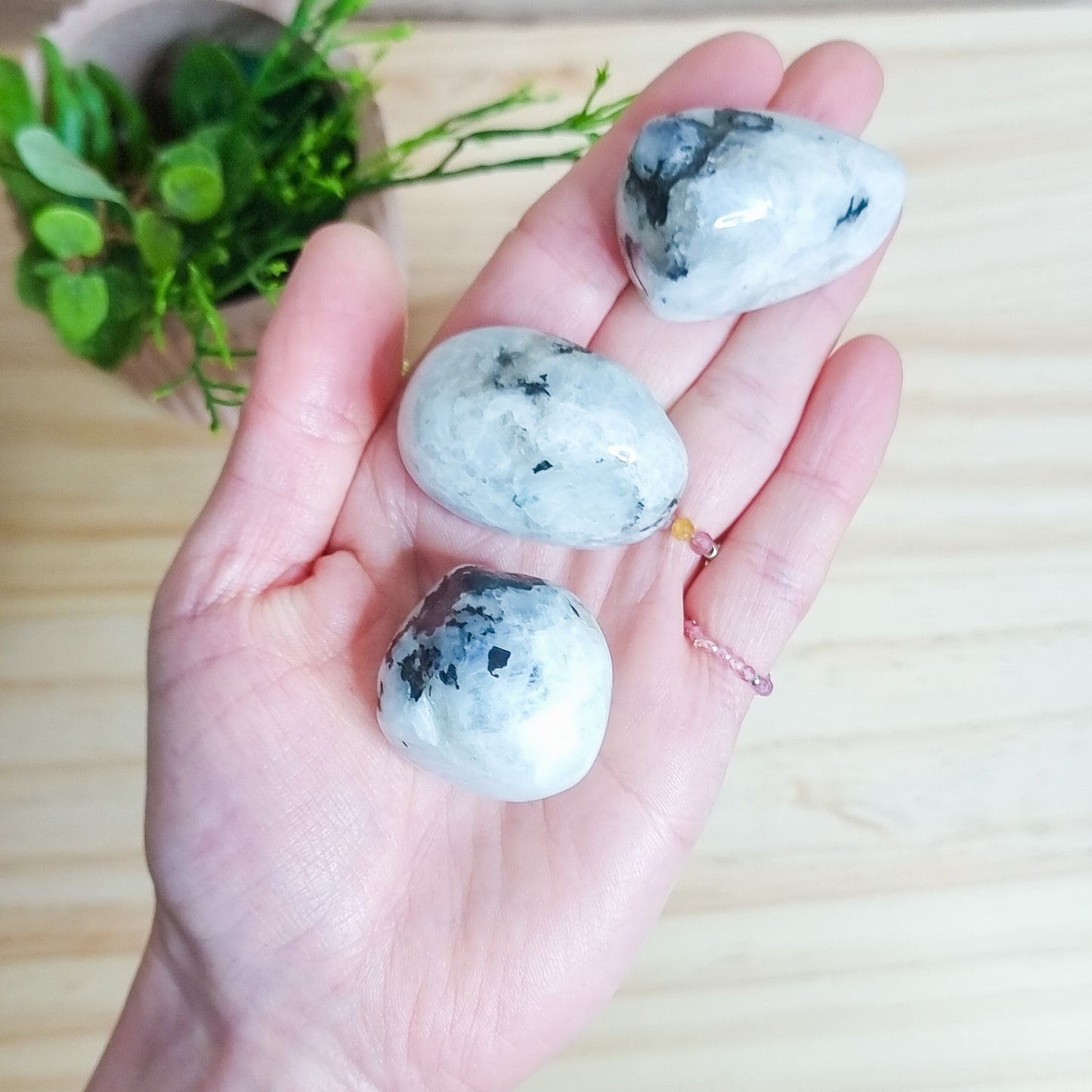 Moonstone Tumbled Stones Large