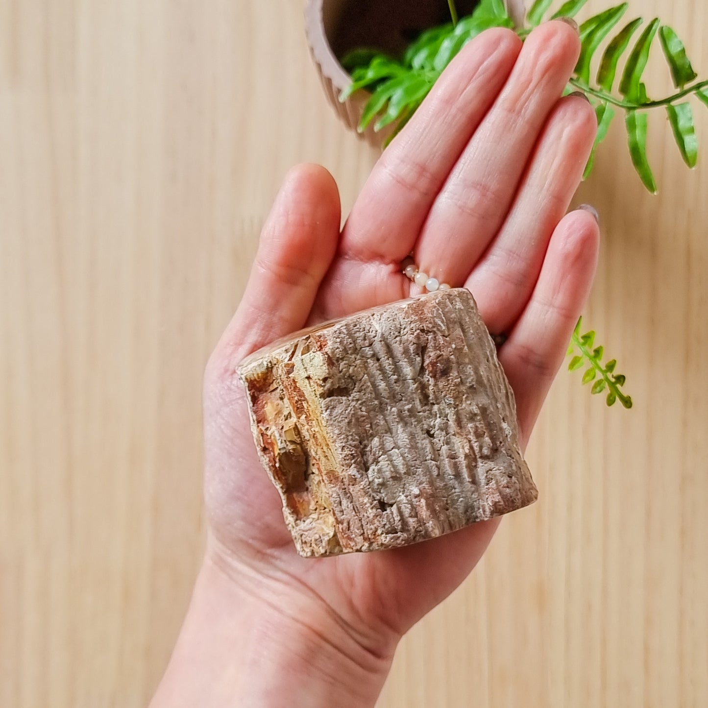 Petrified Wood Stump