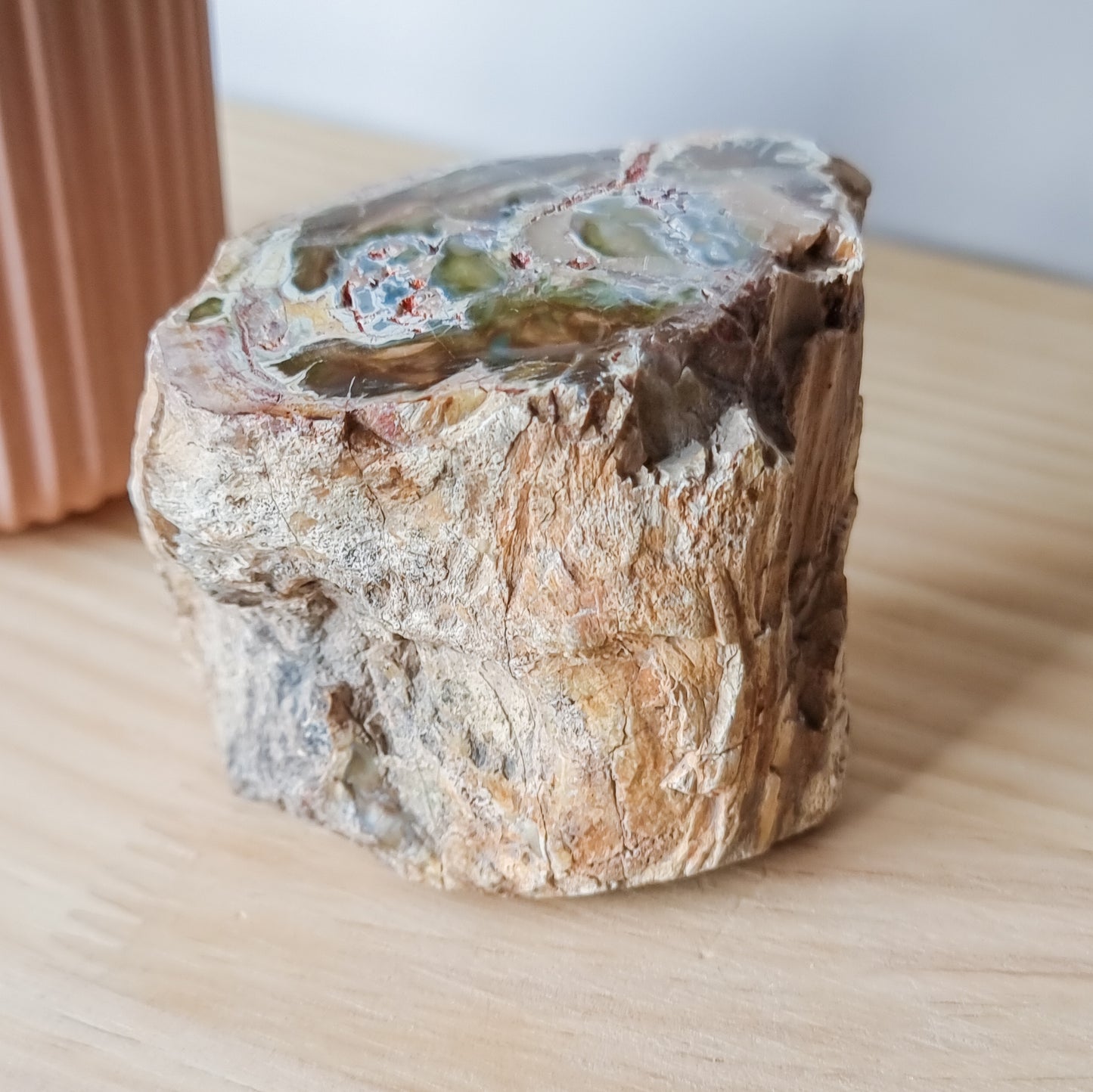 Petrified Wood Stump