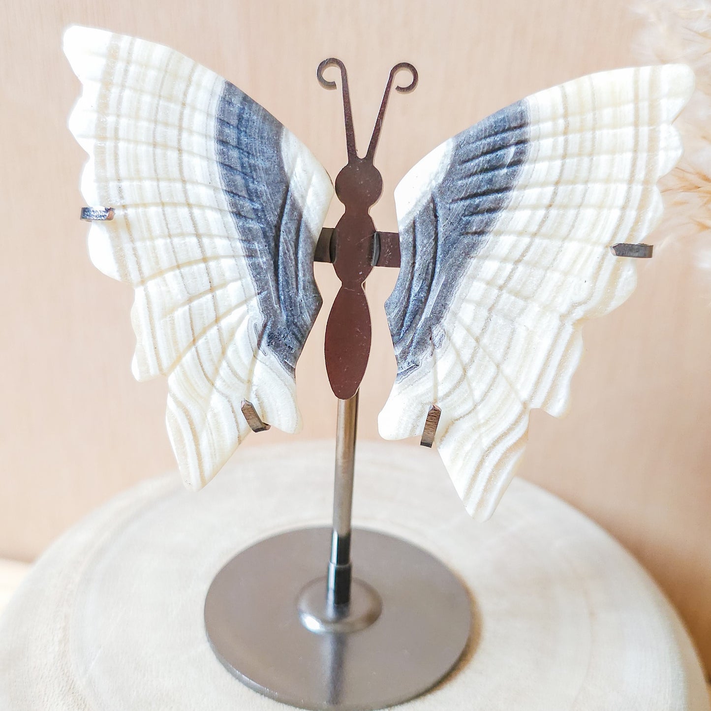 Banded Calcite Butterfly Wings on the stand