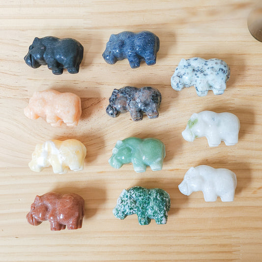 Crystal Hippos