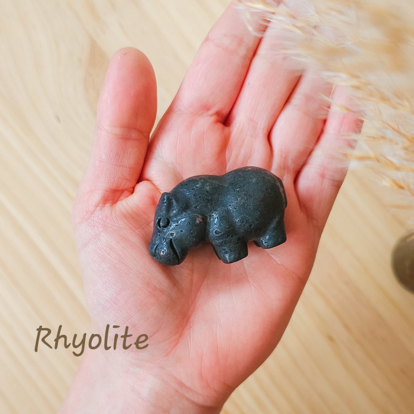 Crystal Hippo