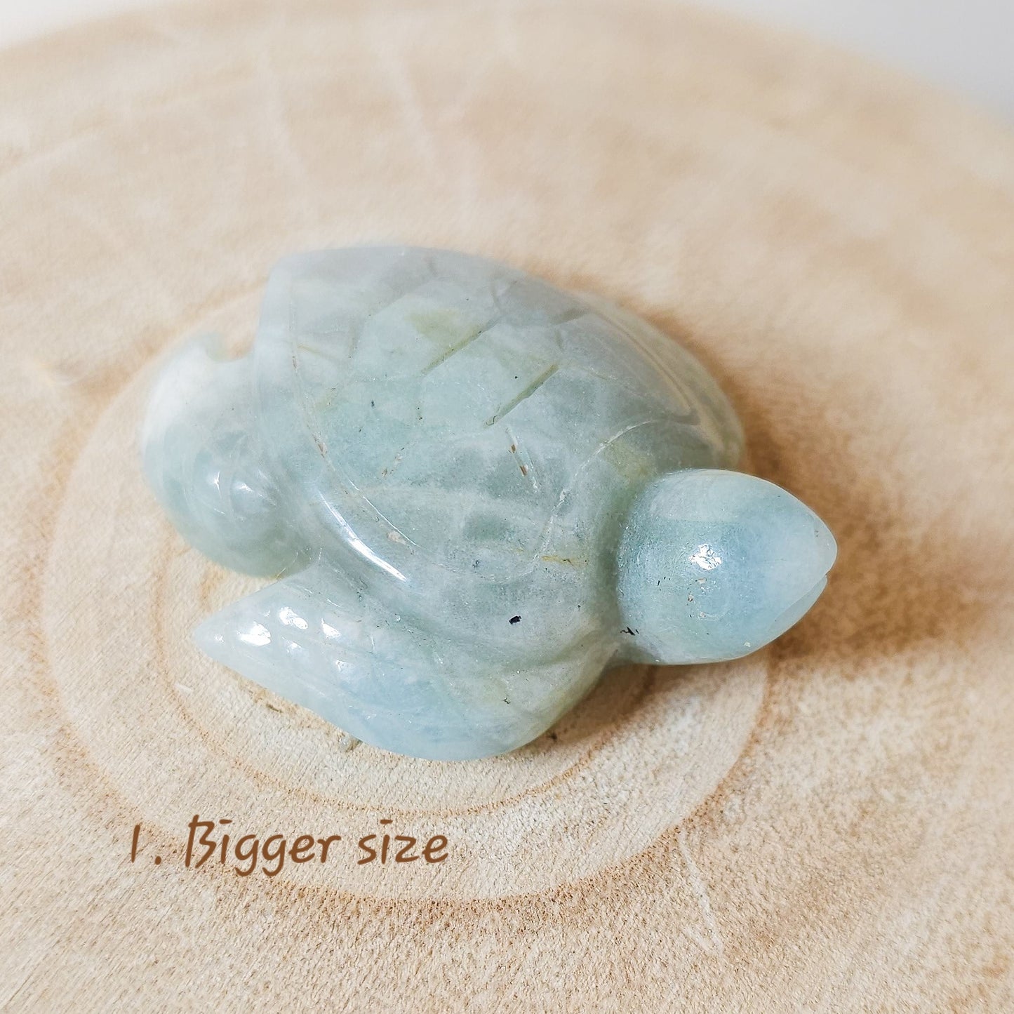 Aquamarine Turtles