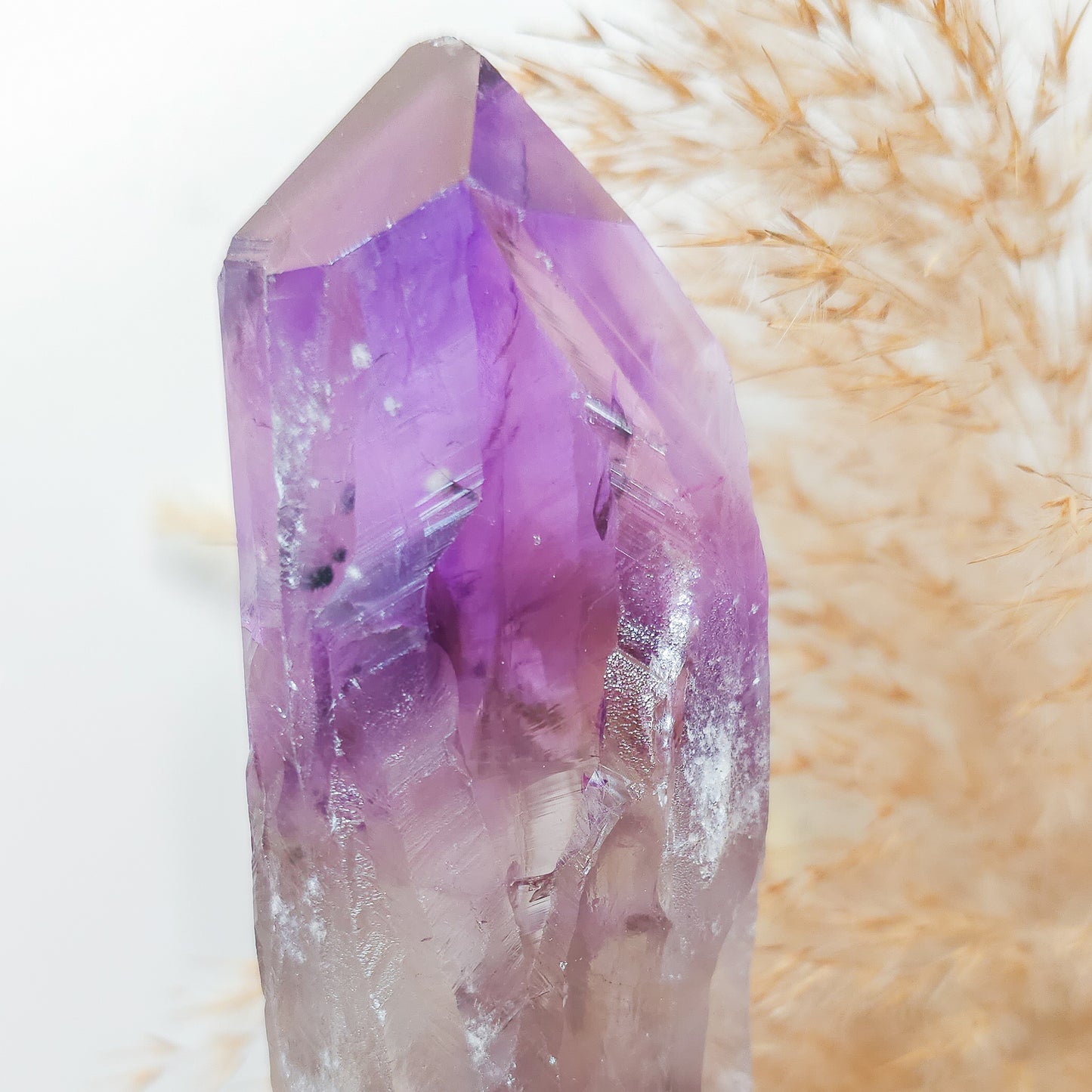 Amethyst Raw Wand/Root on the stand