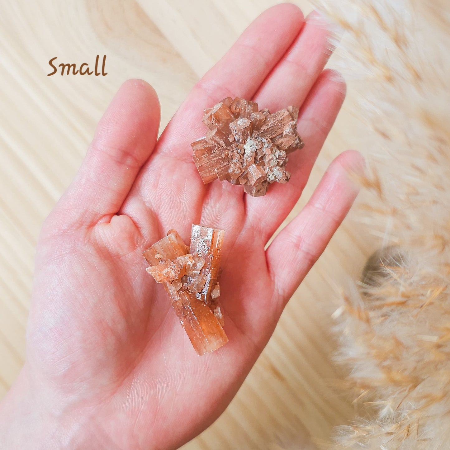 Aragonite Sputnik Clusters