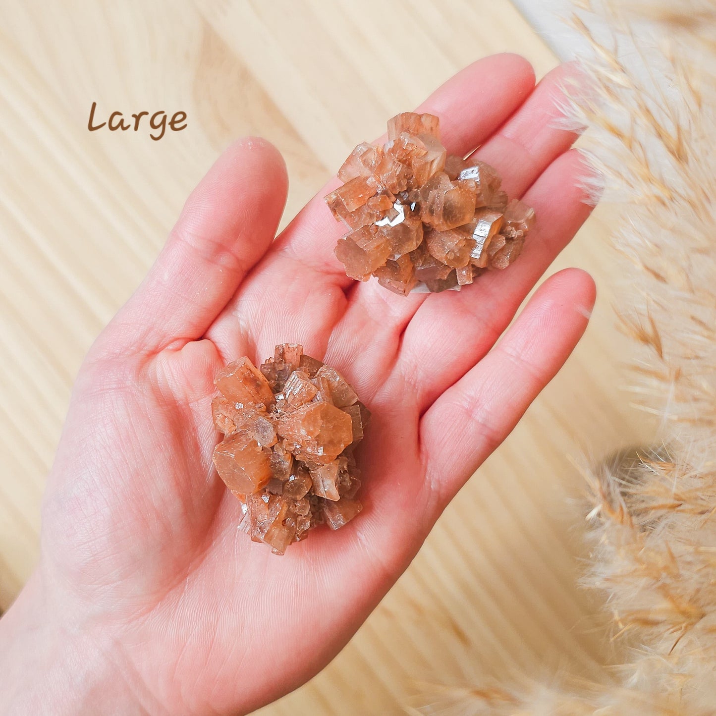 Aragonite Sputnik Clusters