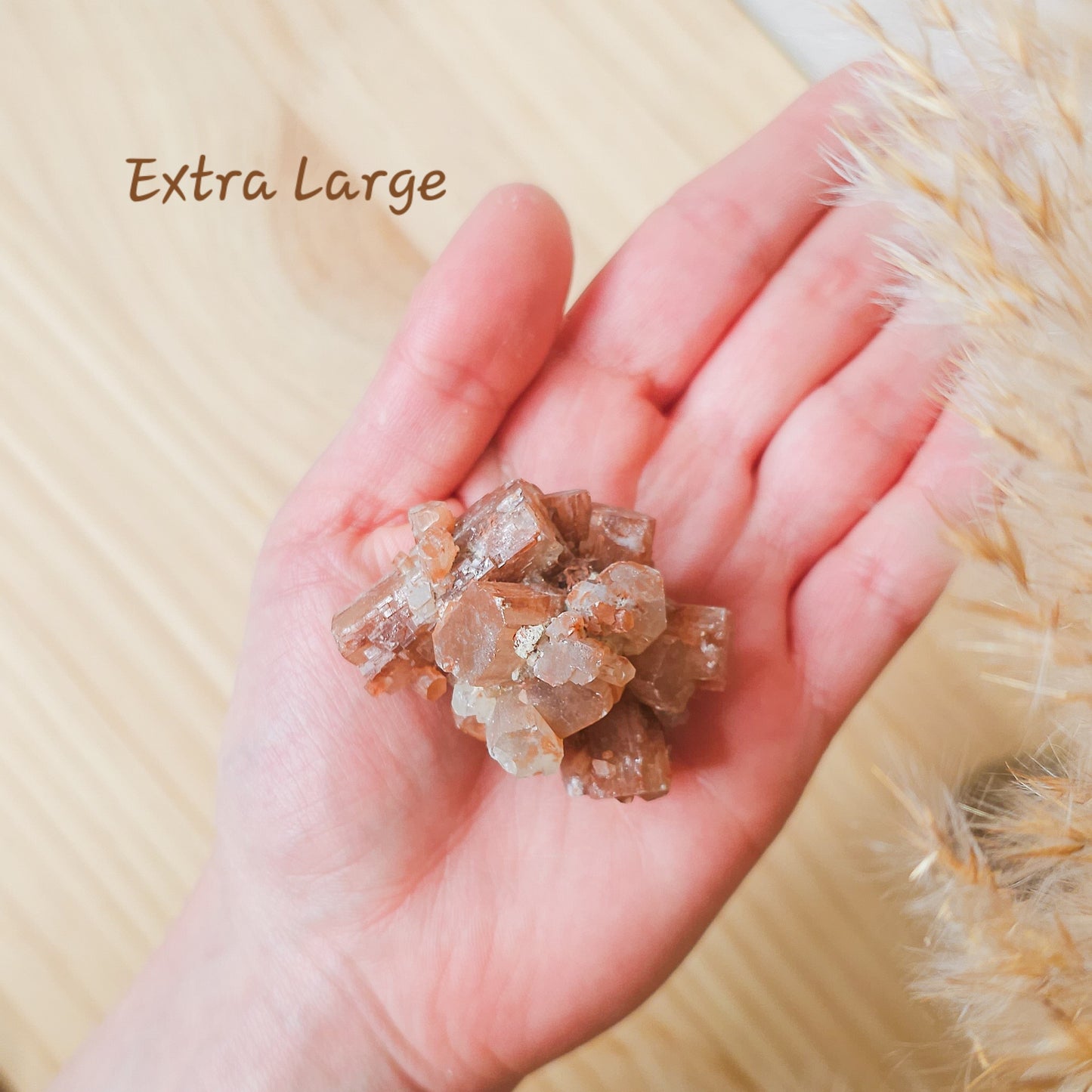 Aragonite Sputnik Clusters