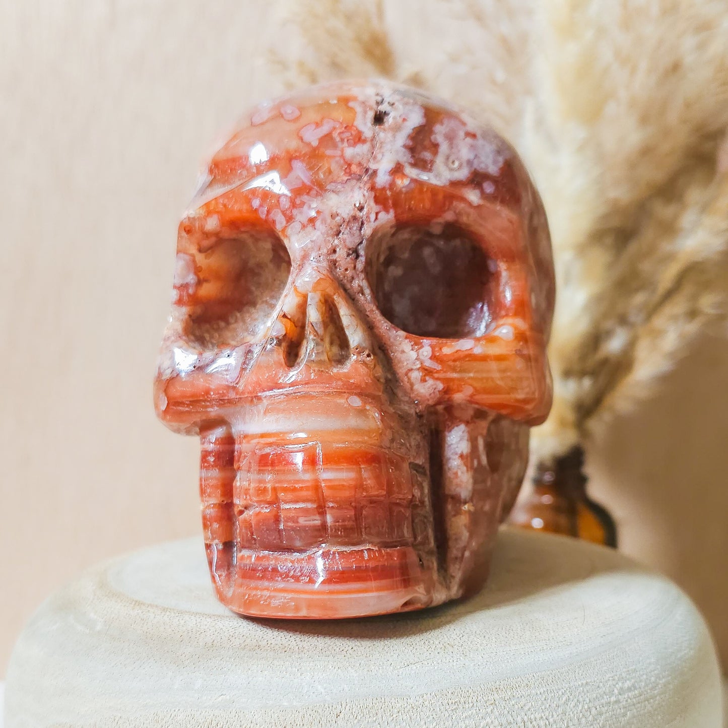 Carnelian Flower Agate Statement Skull