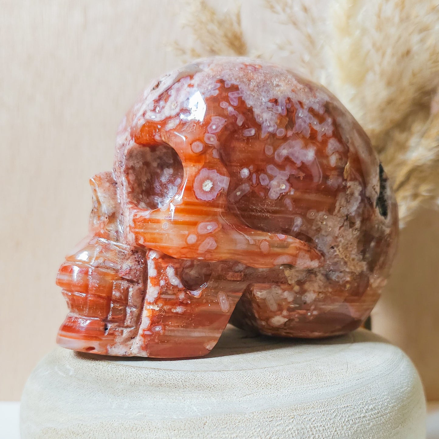 Carnelian Flower Agate Statement Skull