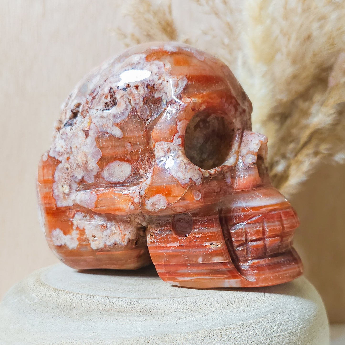 Carnelian Flower Agate Statement Skull