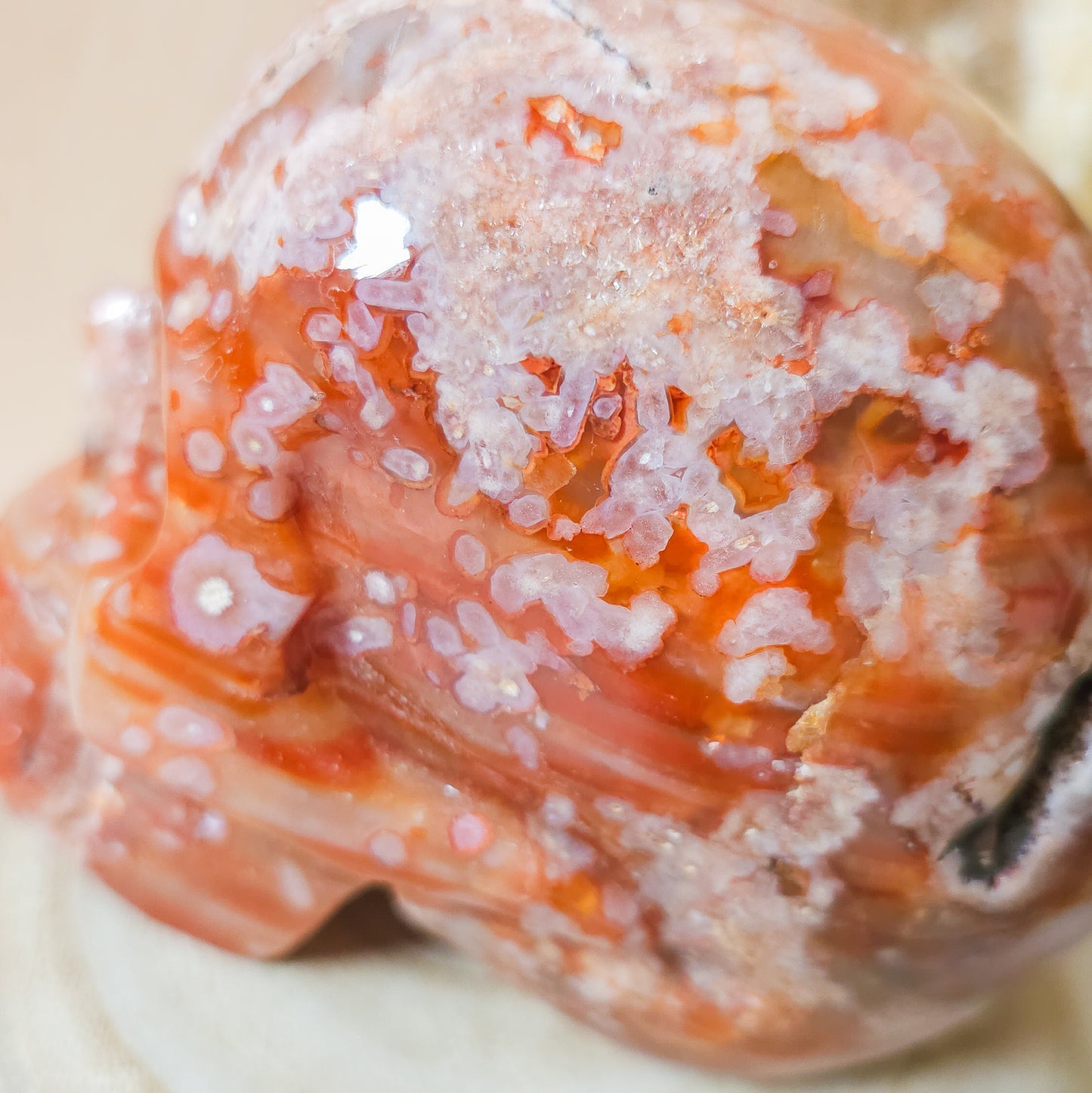 Carnelian Flower Agate Statement Skull