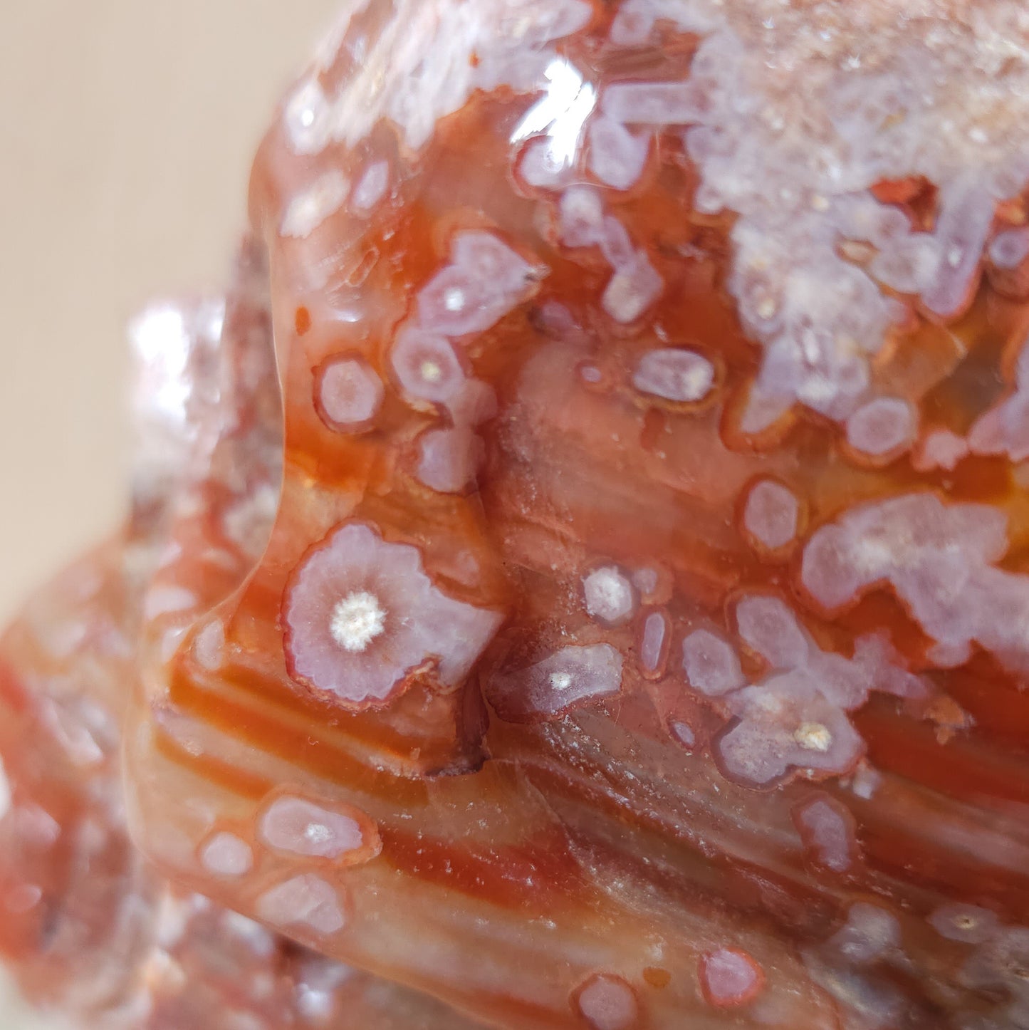 Carnelian Flower Agate Statement Skull