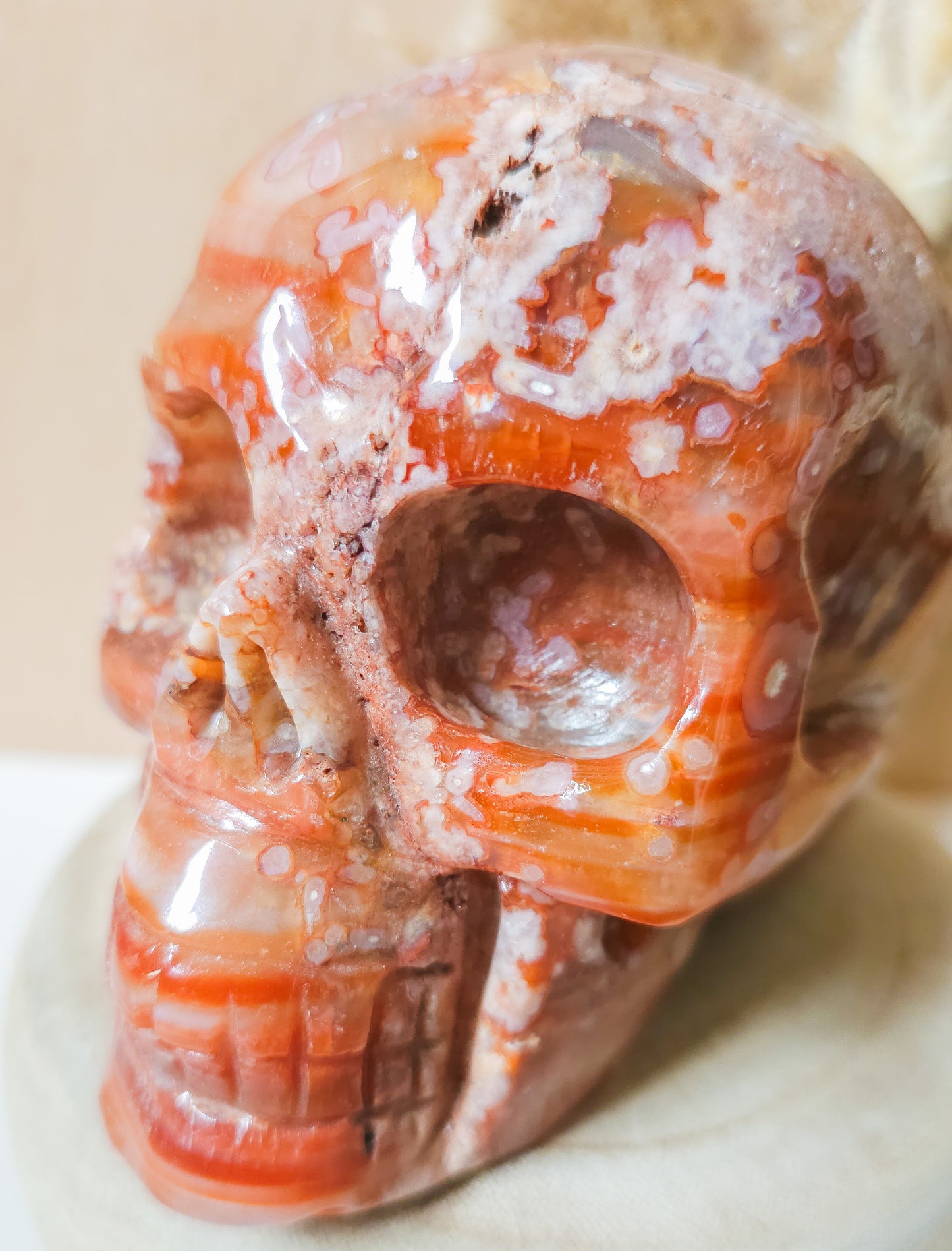 Carnelian Flower Agate Statement Skull