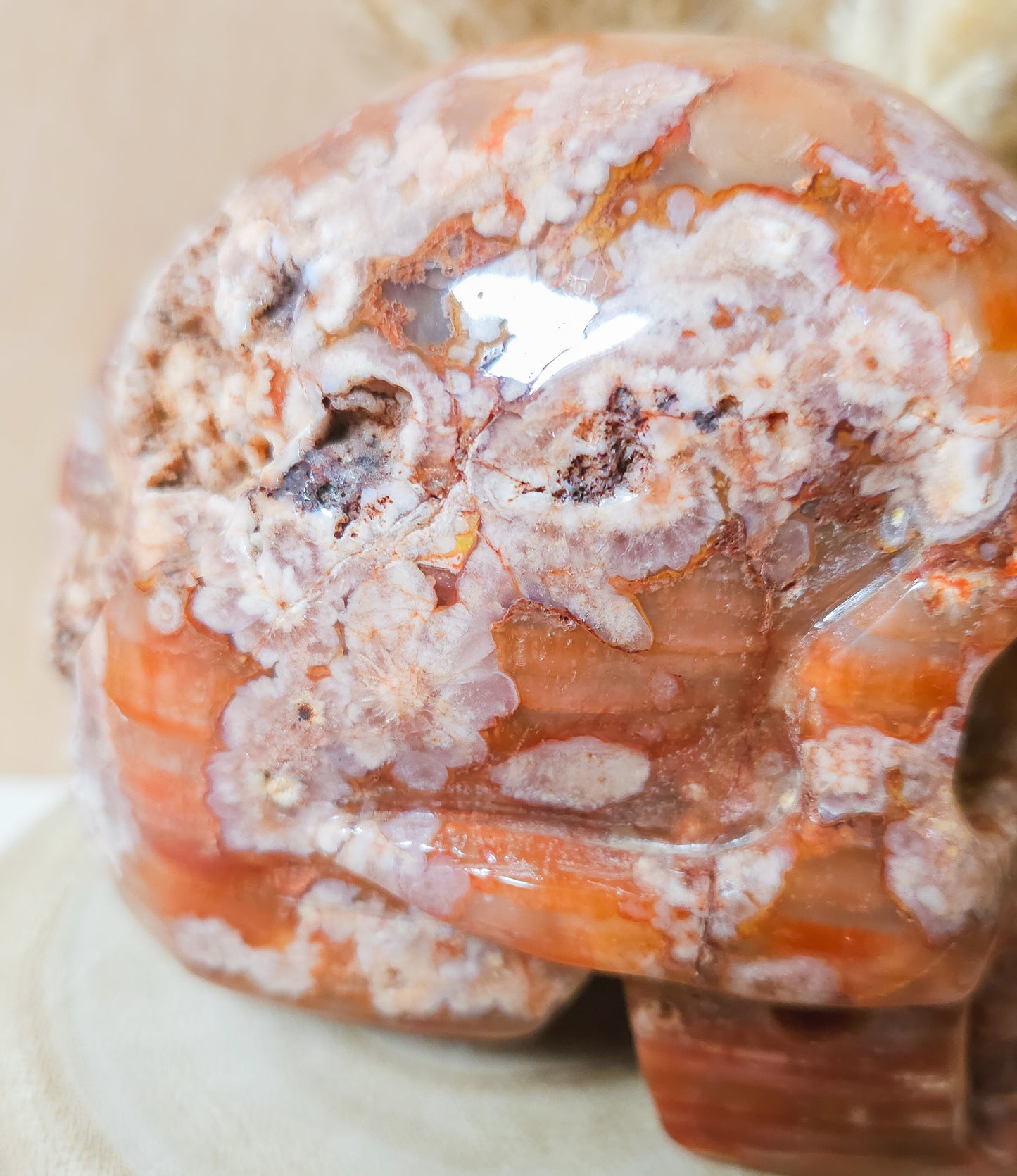 Carnelian Flower Agate Statement Skull