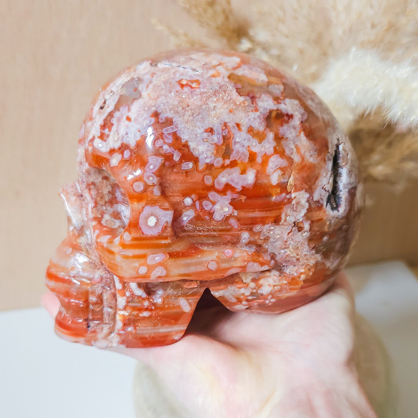 Carnelian Flower Agate Statement Skull