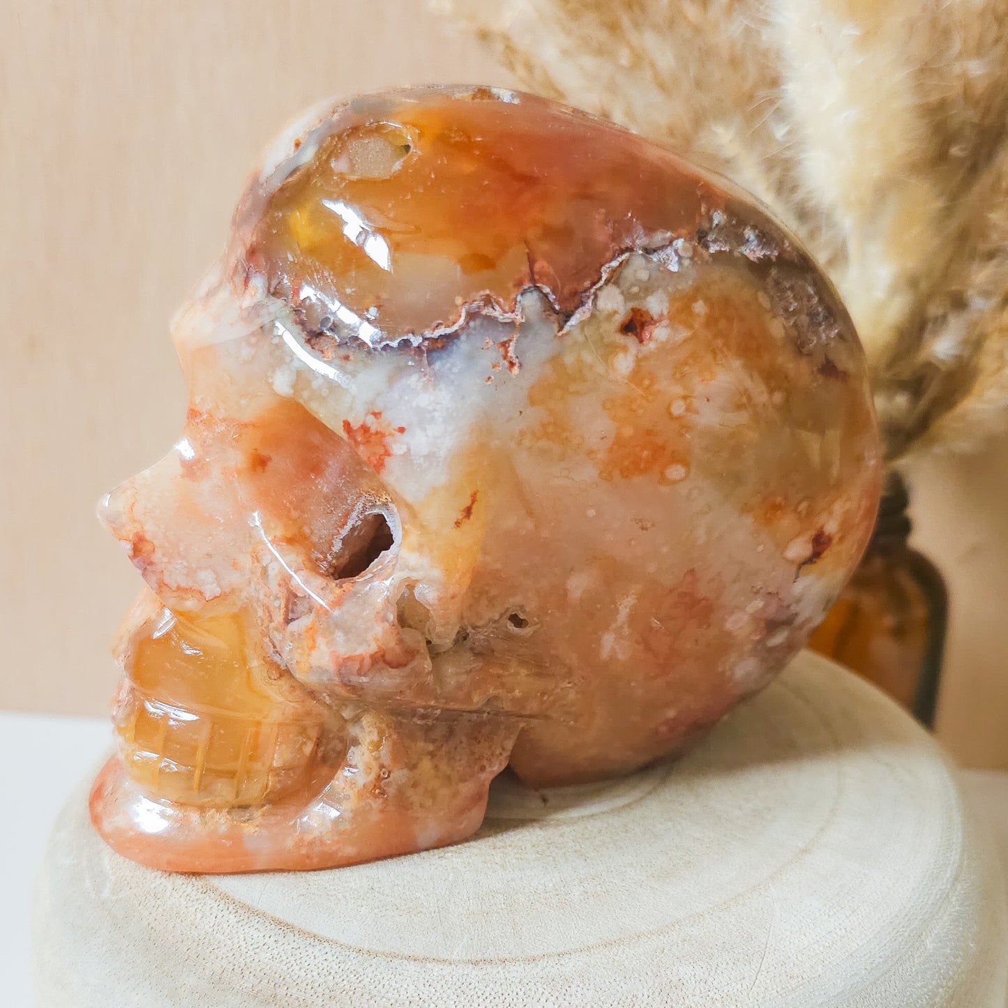 Carnelian Flower Agate Statement Skull