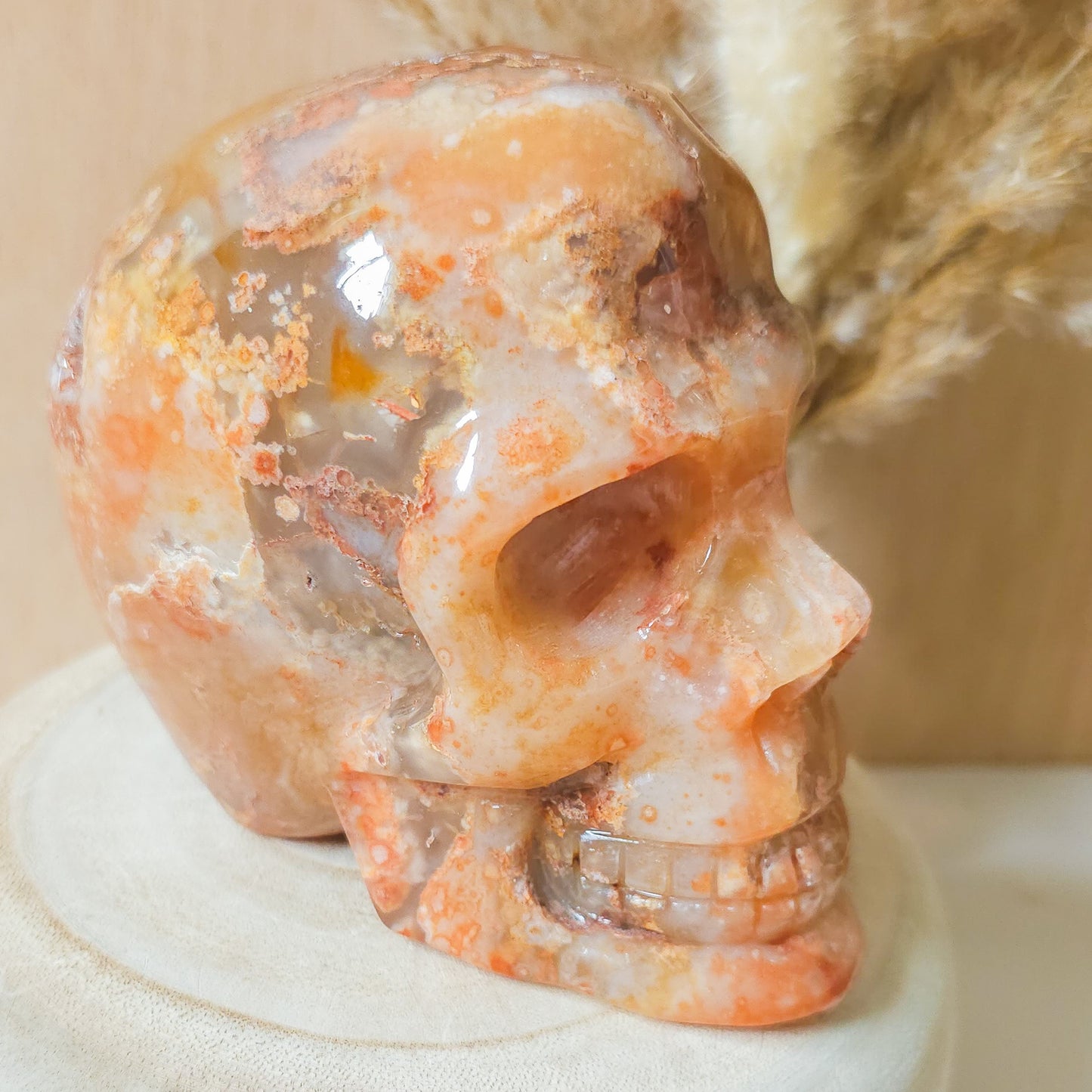 Carnelian Flower Agate Statement Skull