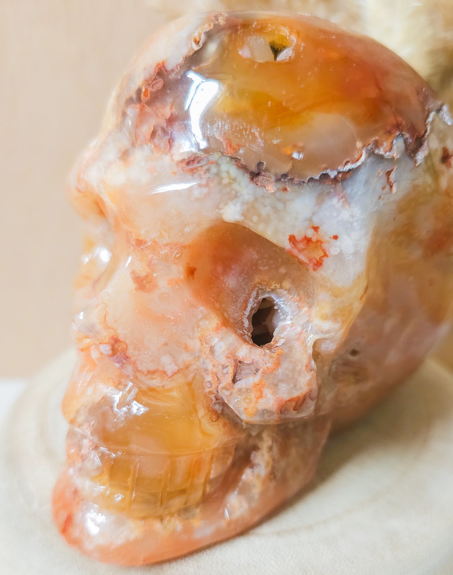 Carnelian Flower Agate Statement Skull