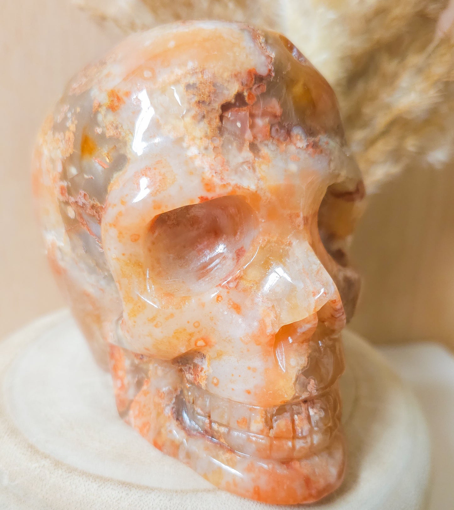 Carnelian Flower Agate Statement Skull