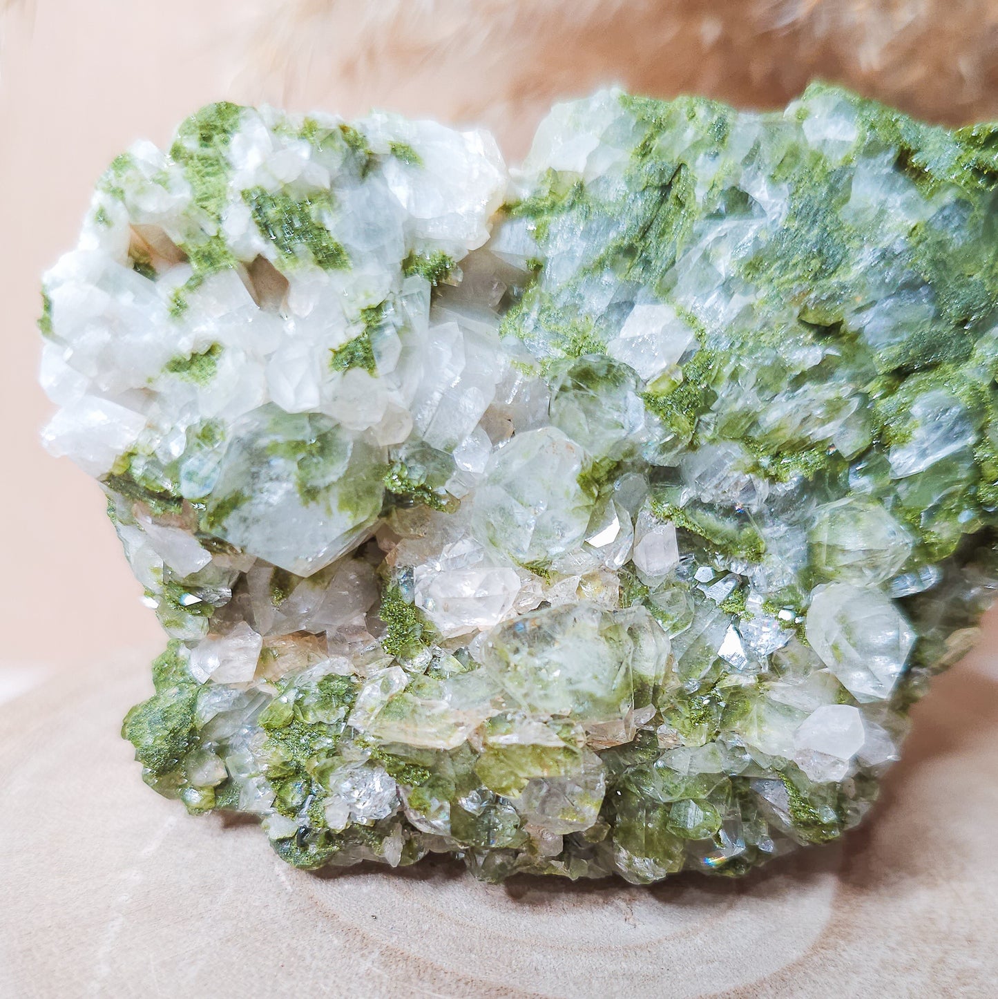 Epidote with Quartz / Fairy Forest Quartz