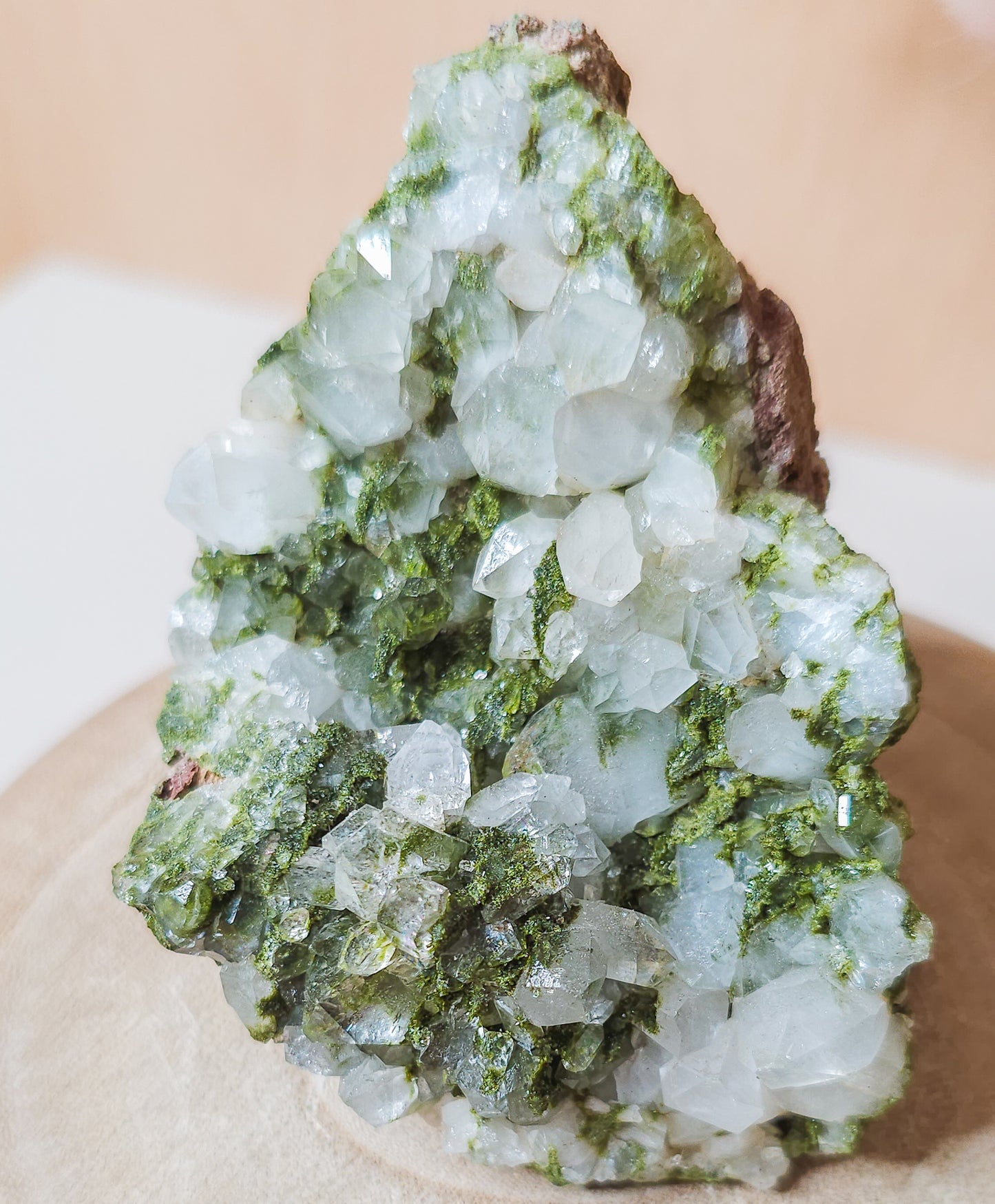 Epidote with Quartz / Fairy Forest Quartz