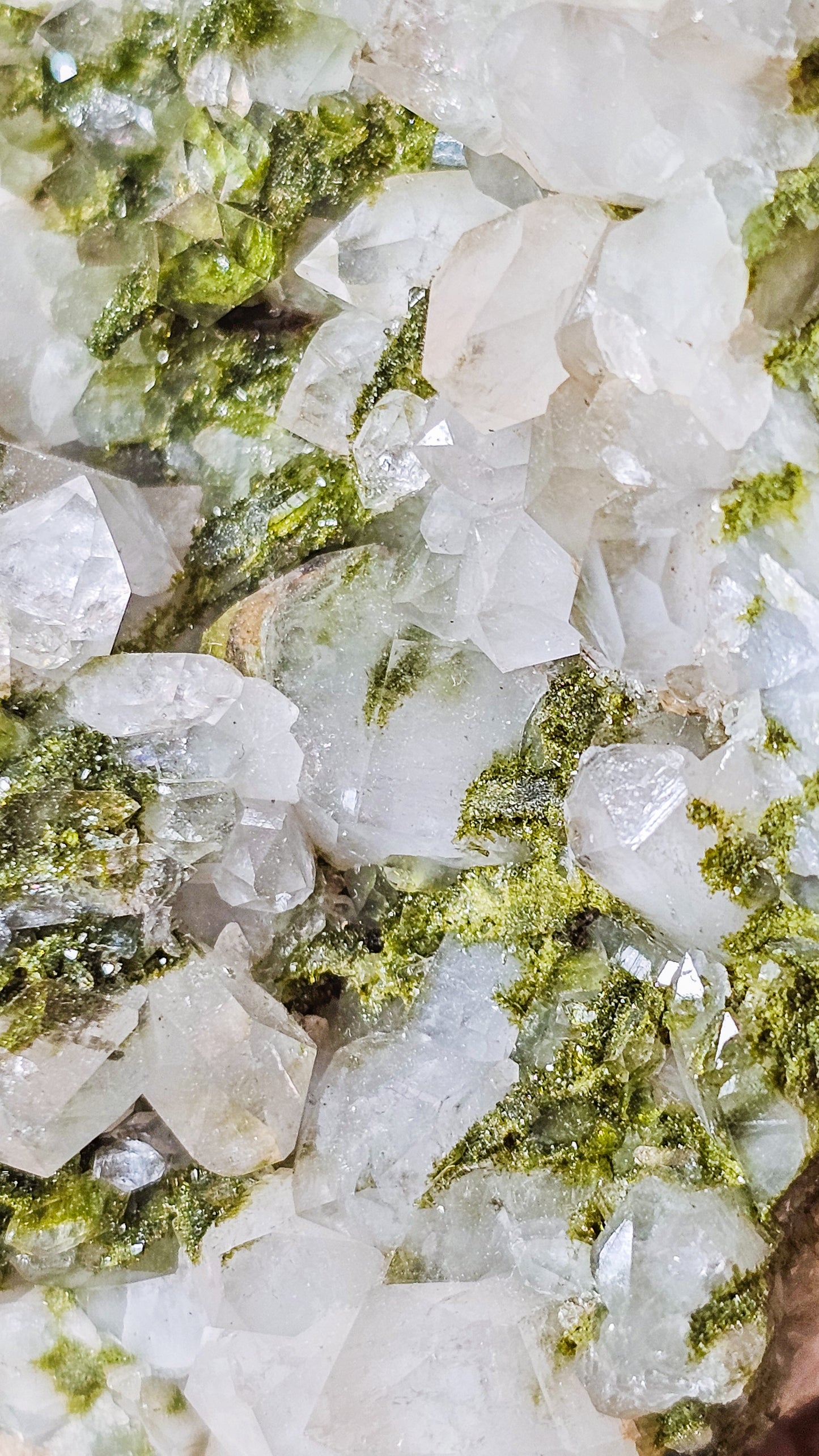 Epidote with Quartz / Fairy Forest Quartz