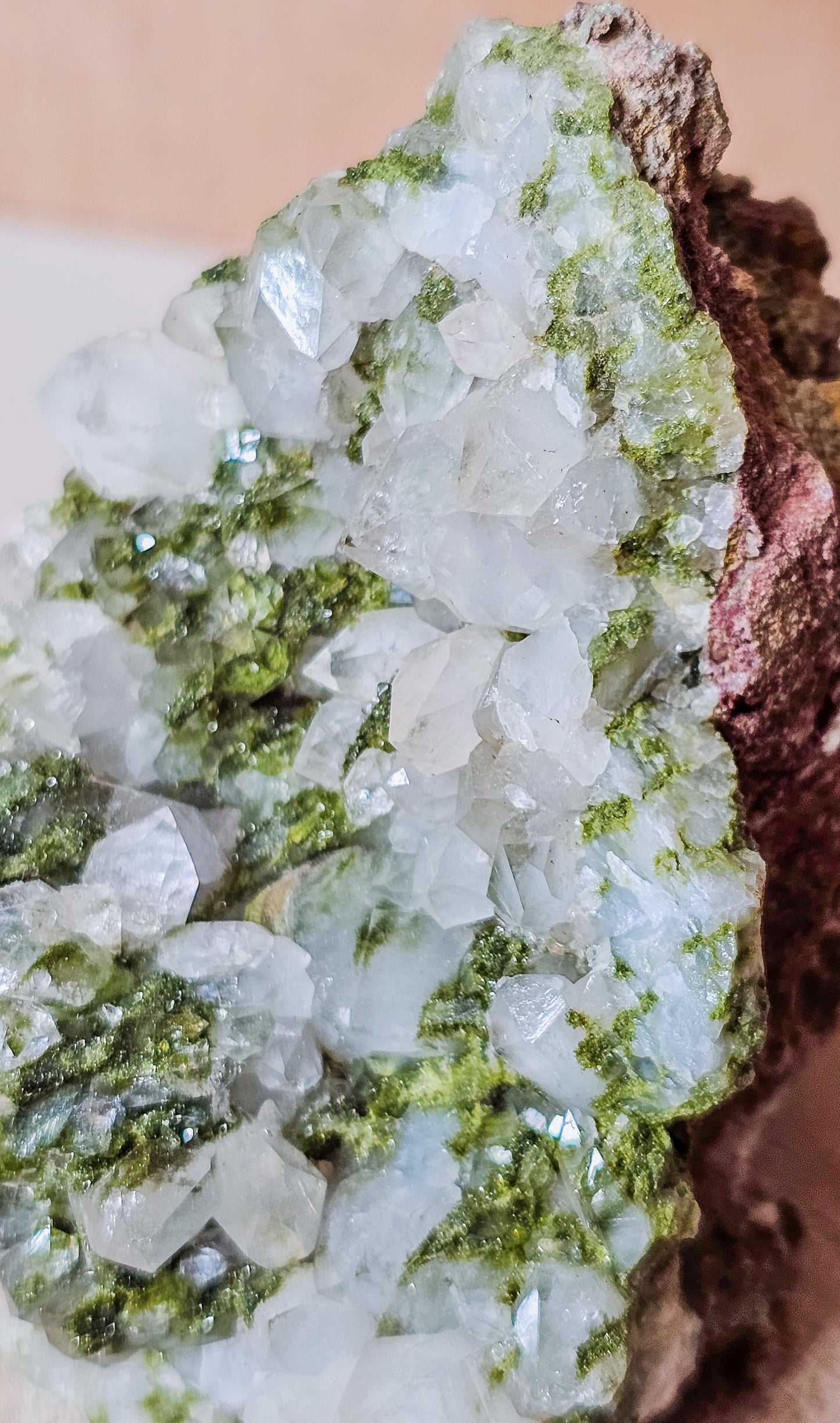 Epidote with Quartz / Fairy Forest Quartz