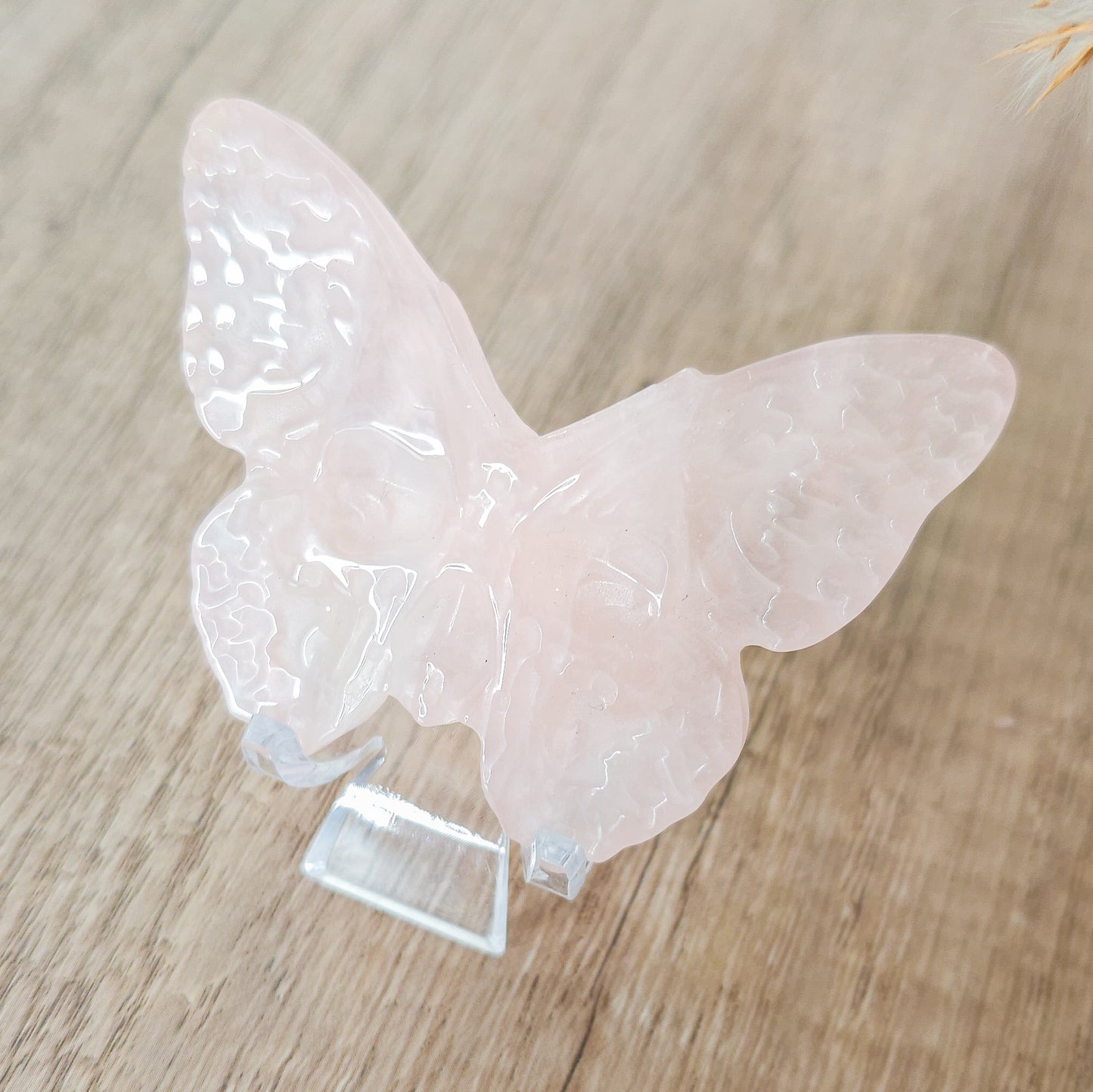 Detailed Butterfly With Engraved Skull Carving