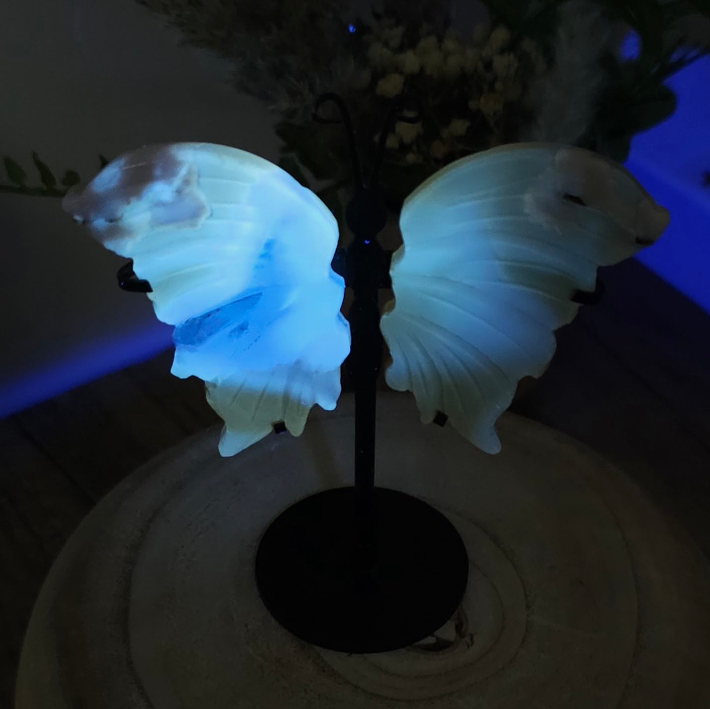Fluorescent Flower Agate Butterfly Wings on the stand