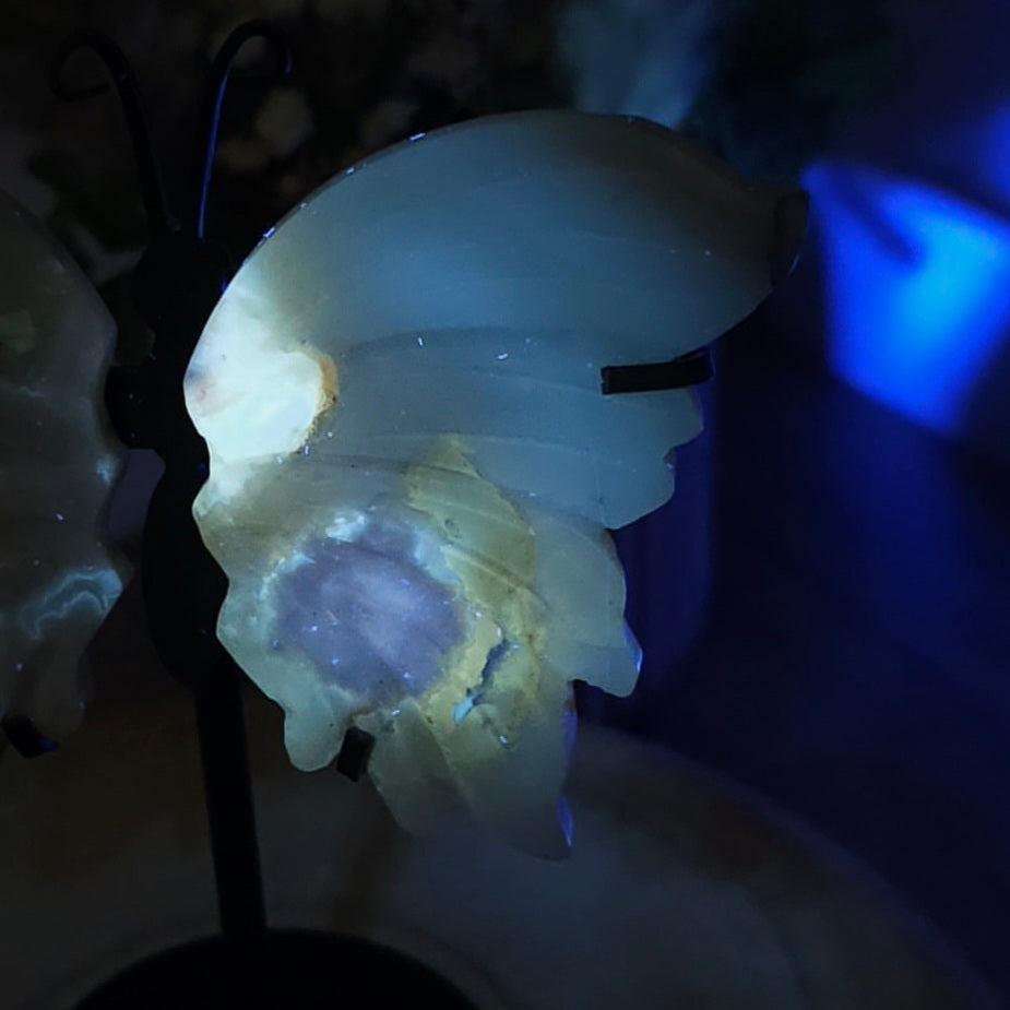 Flower Agate Butterfly Wings on the stand