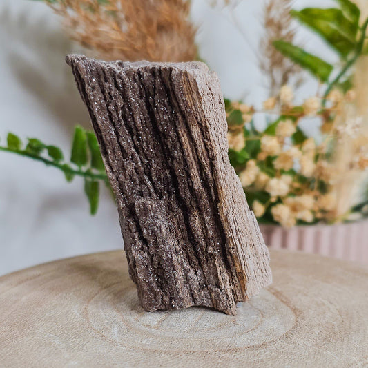 Rare Permineralized Wood (Petrified Wood) with very Sparkly Microcrystalline Quartz