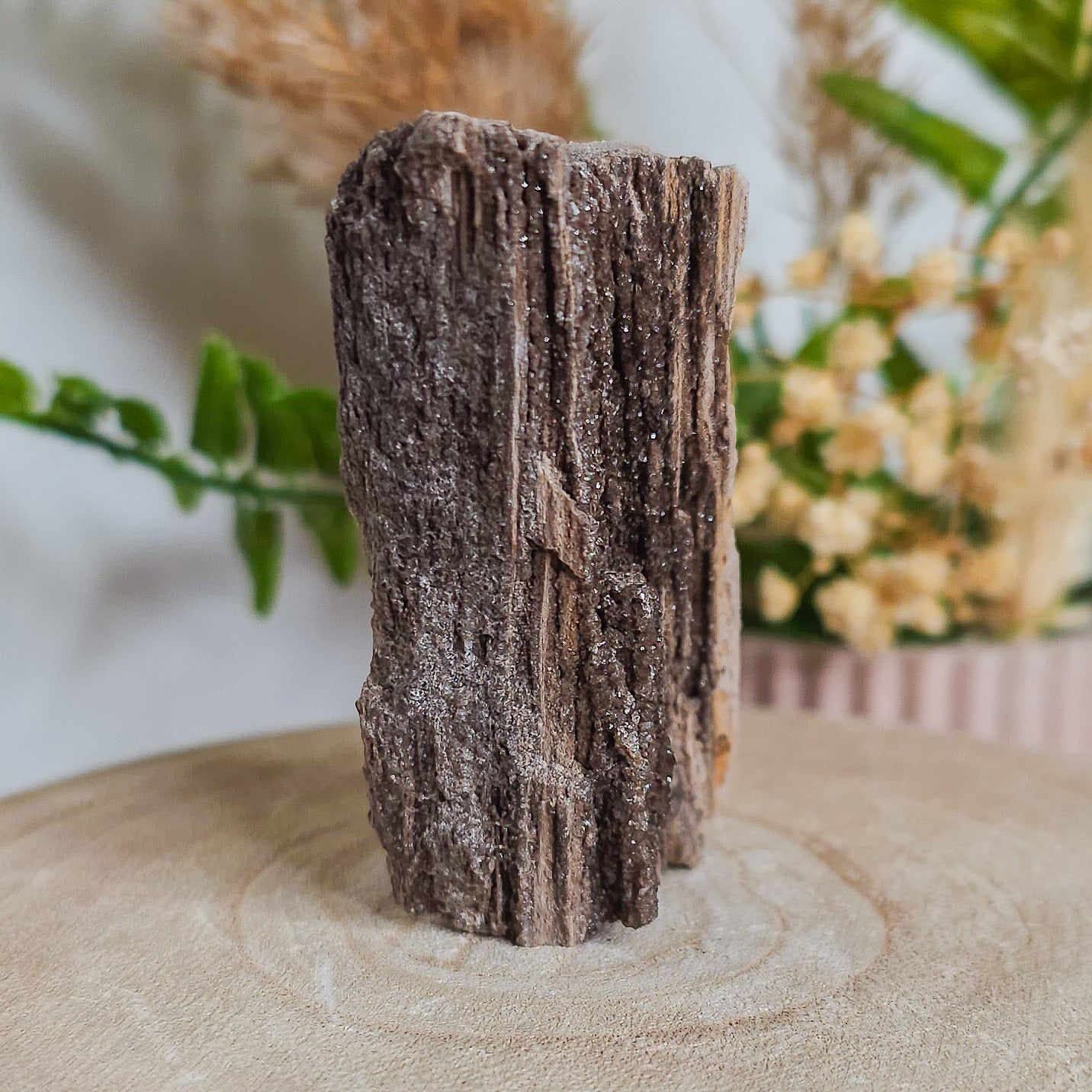 Rare Permineralized Wood (Petrified Wood) with very Sparkly Microcrystalline Quartz