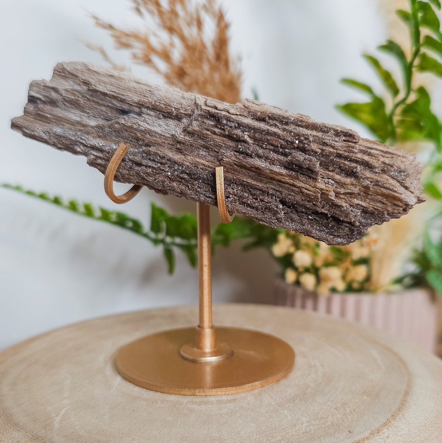 Rare Permineralized Wood (Petrified Wood) with very Sparkly Microcrystalline Quartz
