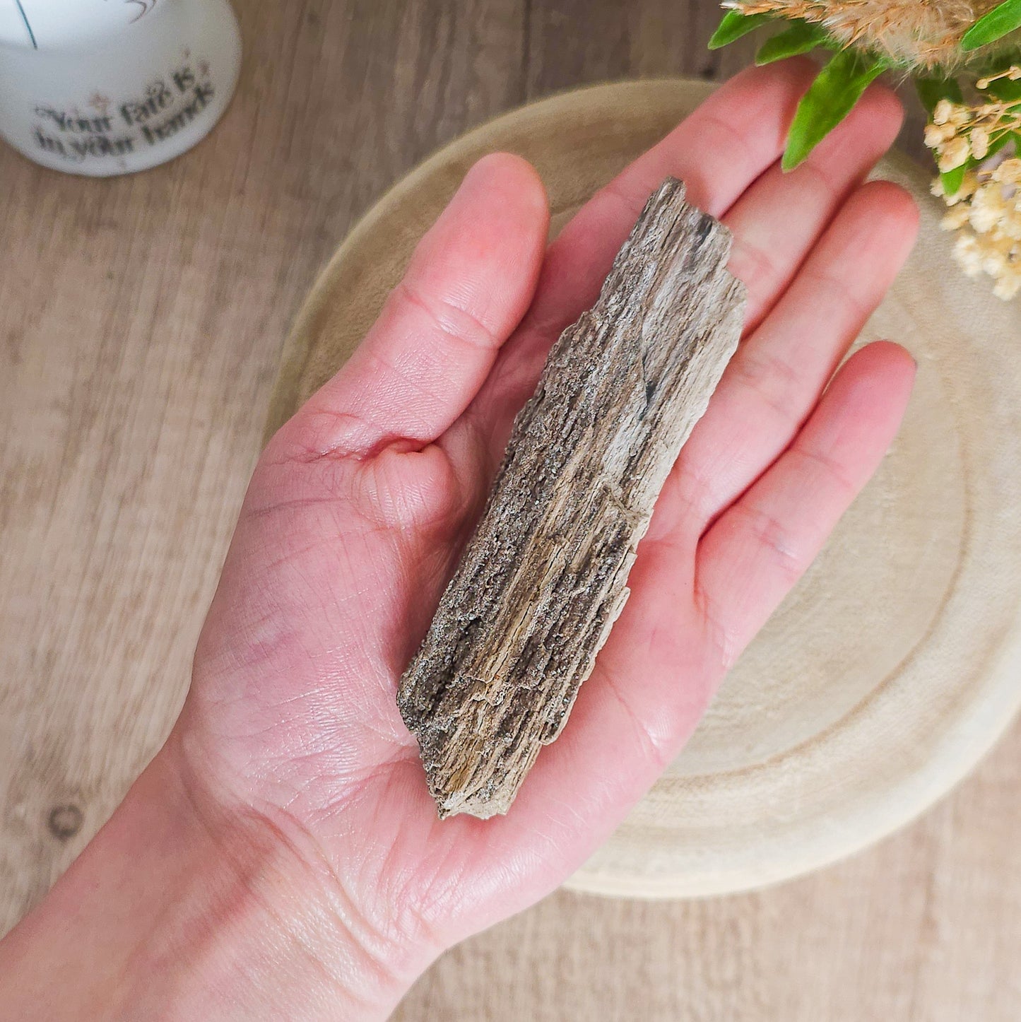 Rare Permineralized Wood (Petrified Wood) with very Sparkly Microcrystalline Quartz
