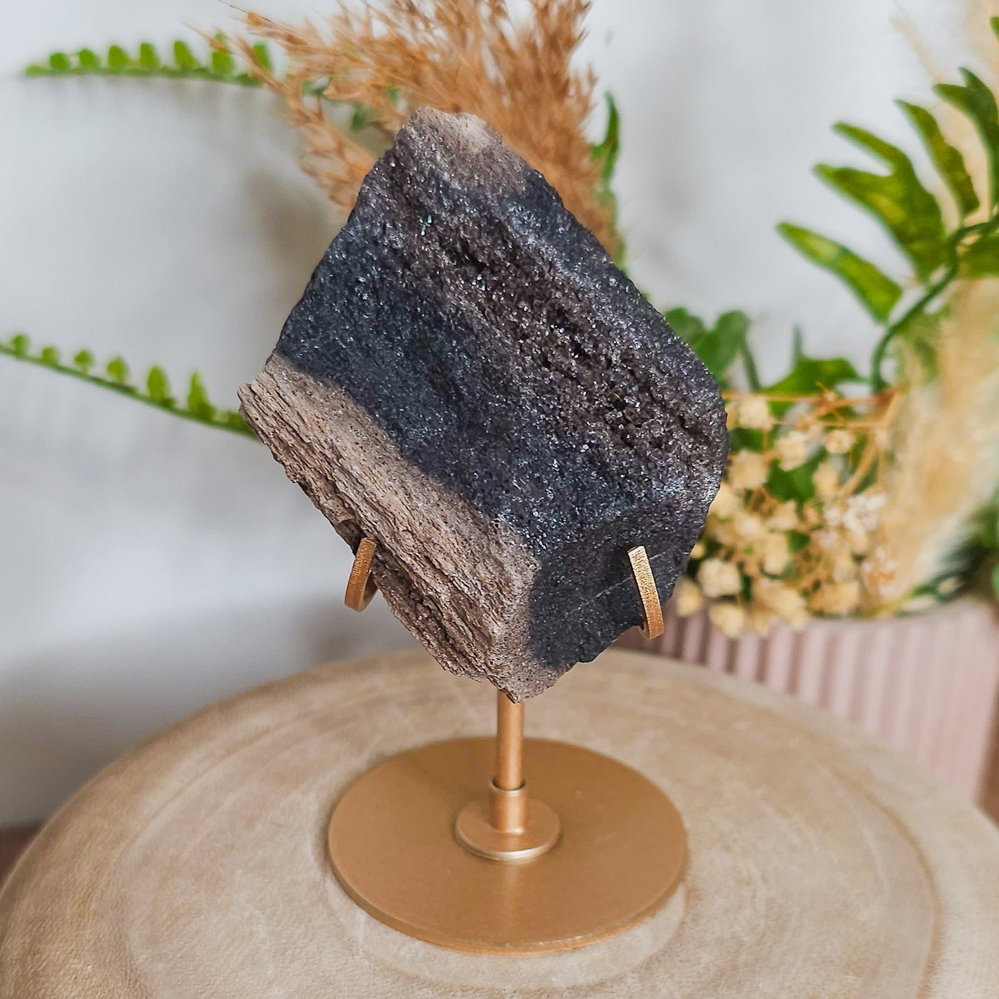 Rare Permineralized Wood (Petrified Wood) with very Sparkly Microcrystalline Quartz