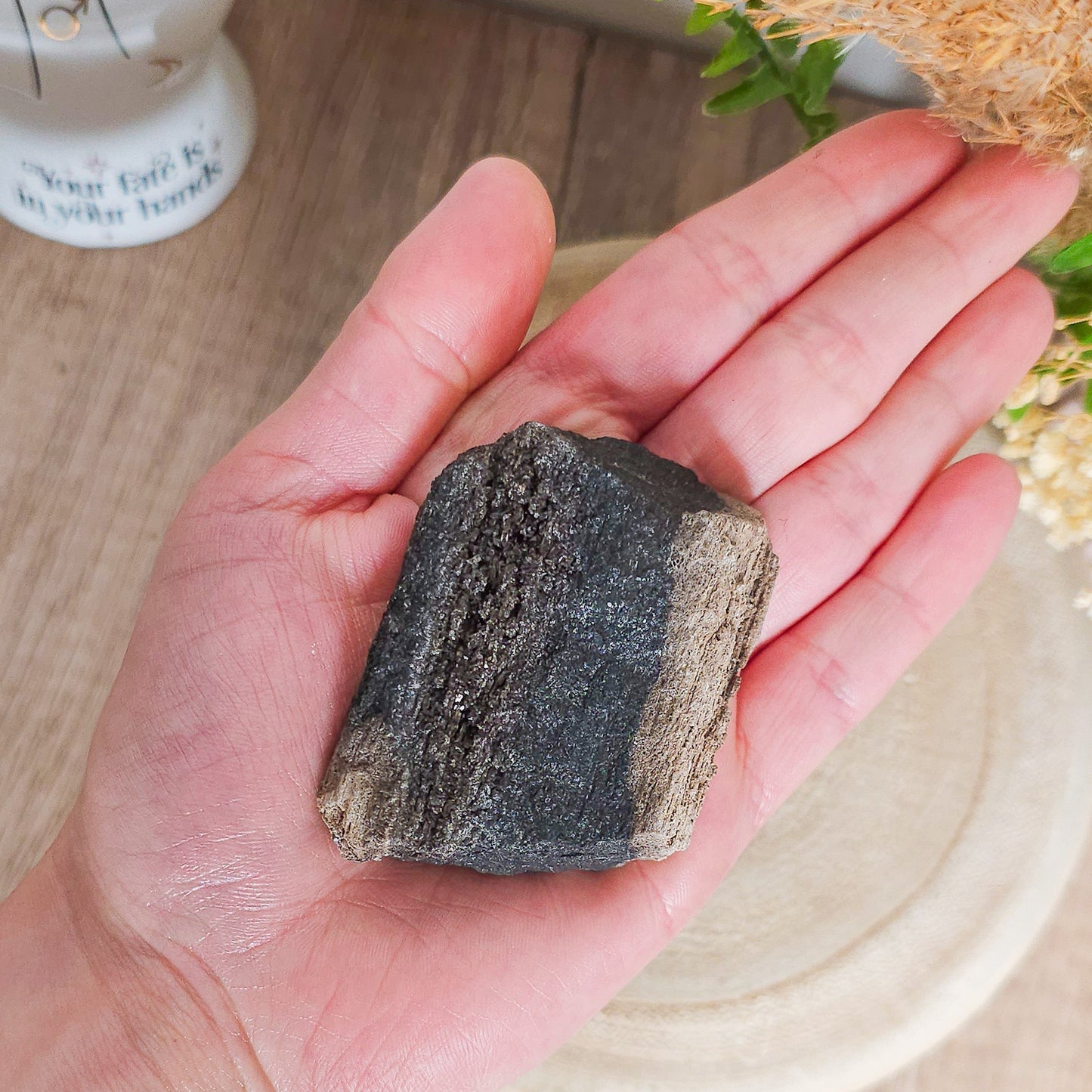 Rare Permineralized Wood (Petrified Wood) with very Sparkly Microcrystalline Quartz