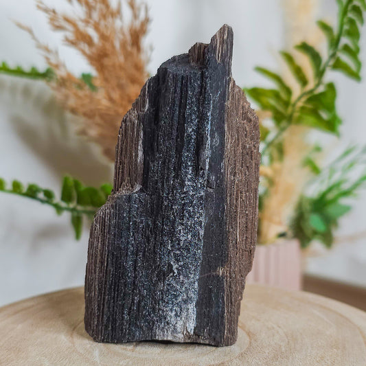 Rare Permineralized Wood (Petrified Wood) with very Sparkly Microcrystalline Quartz