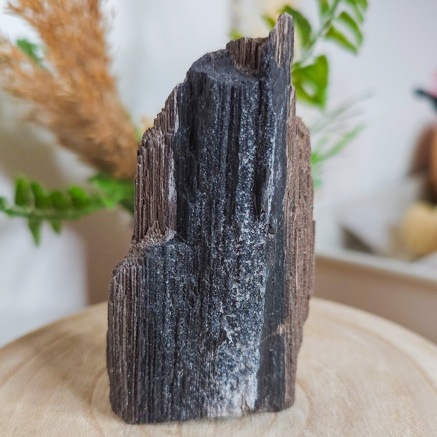 Rare Permineralized Wood (Petrified Wood) with very Sparkly Microcrystalline Quartz