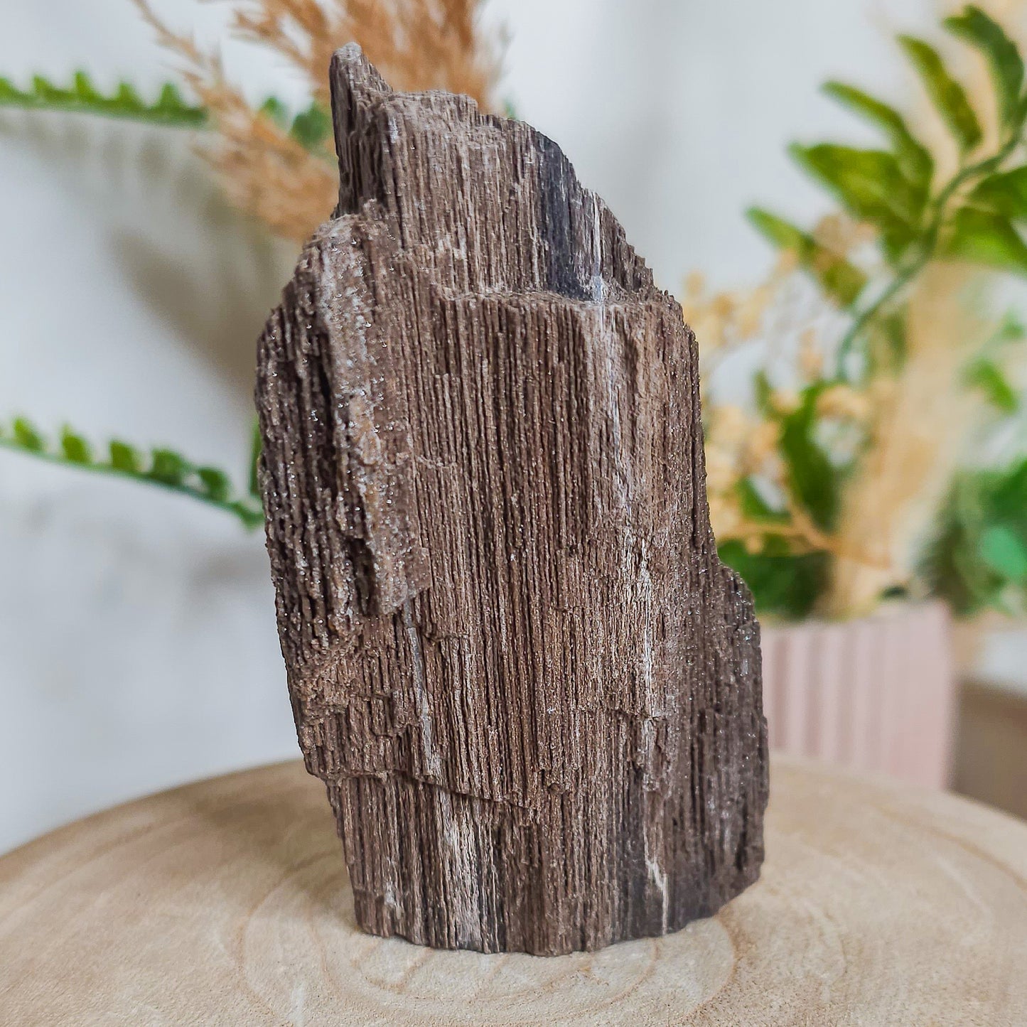 Rare Permineralized Wood (Petrified Wood) with very Sparkly Microcrystalline Quartz