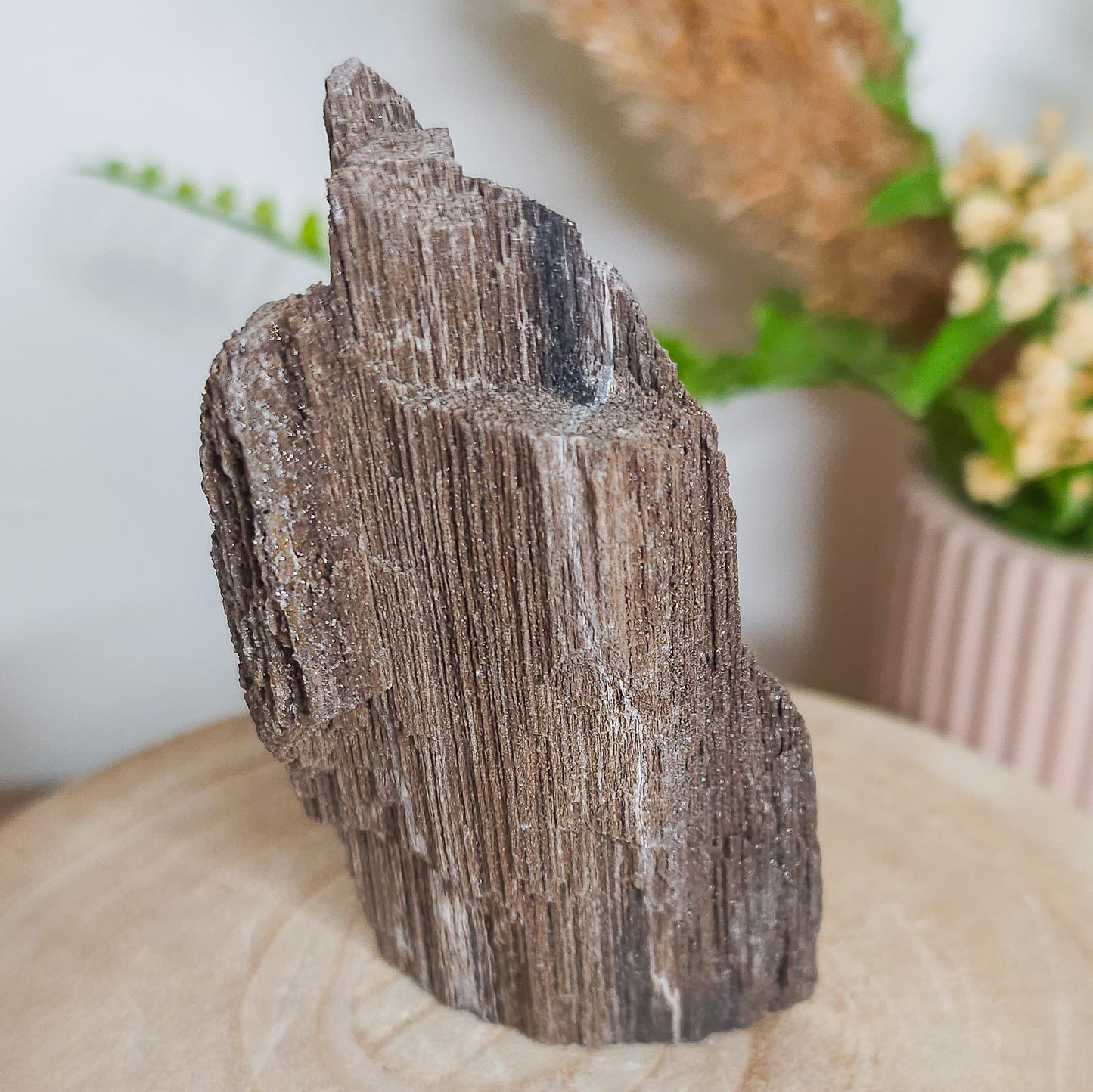 Rare Permineralized Wood (Petrified Wood) with very Sparkly Microcrystalline Quartz
