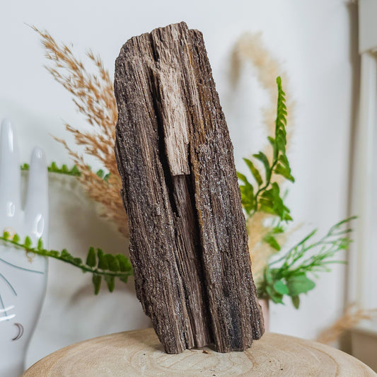 Rare Permineralized Wood (Petrified Wood) with very Sparkly Microcrystalline Quartz