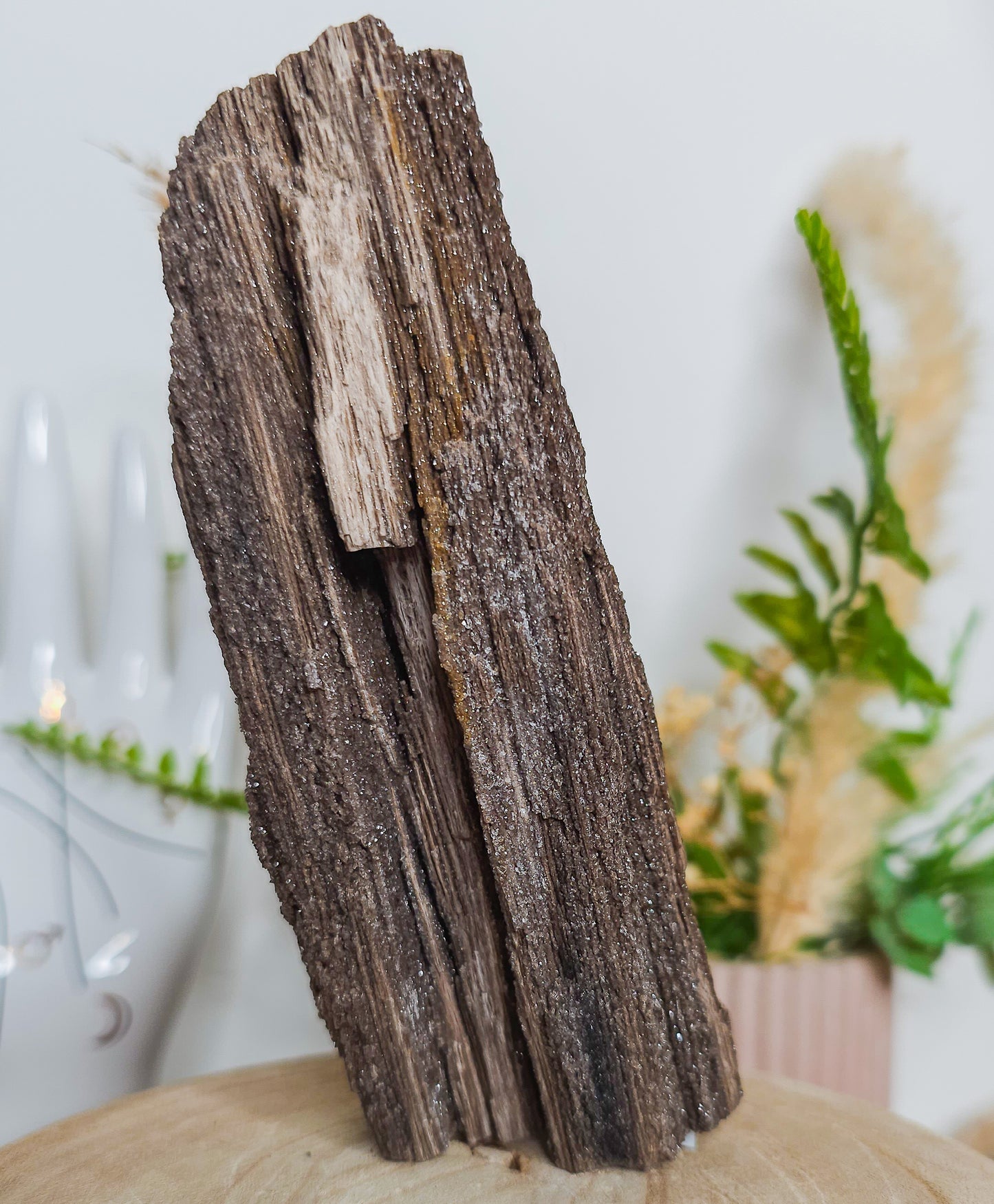 Rare Permineralized Wood (Petrified Wood) with very Sparkly Microcrystalline Quartz