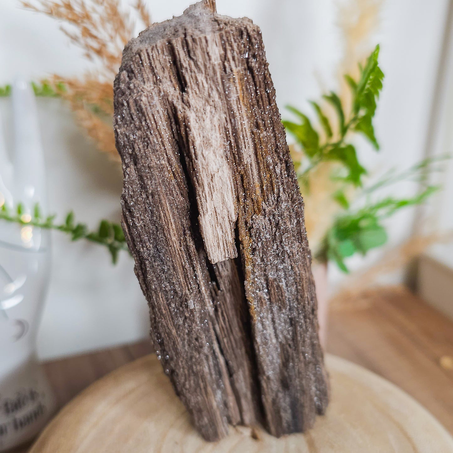 Rare Permineralized Wood (Petrified Wood) with very Sparkly Microcrystalline Quartz