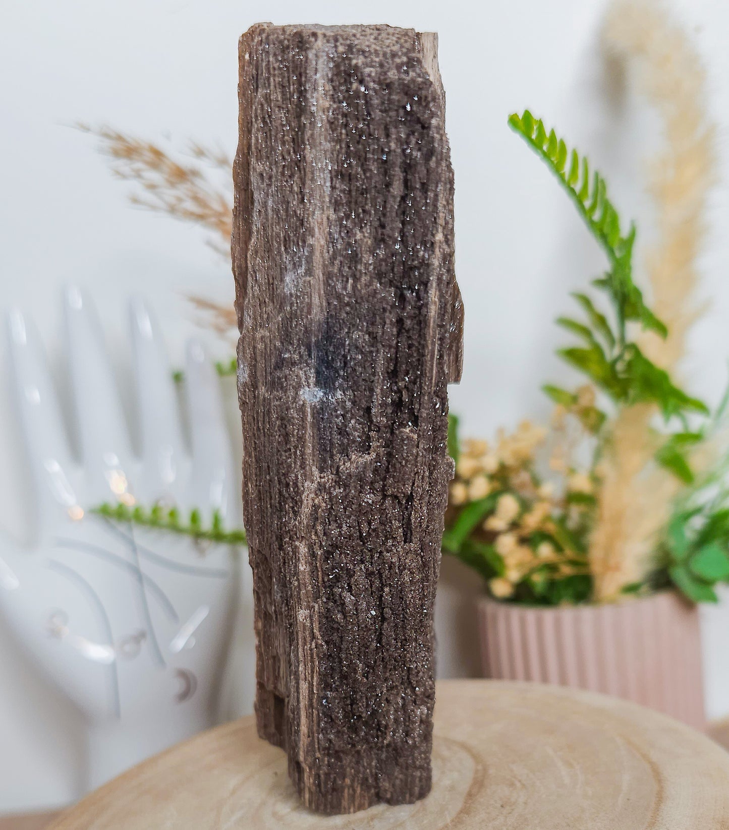 Rare Permineralized Wood (Petrified Wood) with very Sparkly Microcrystalline Quartz
