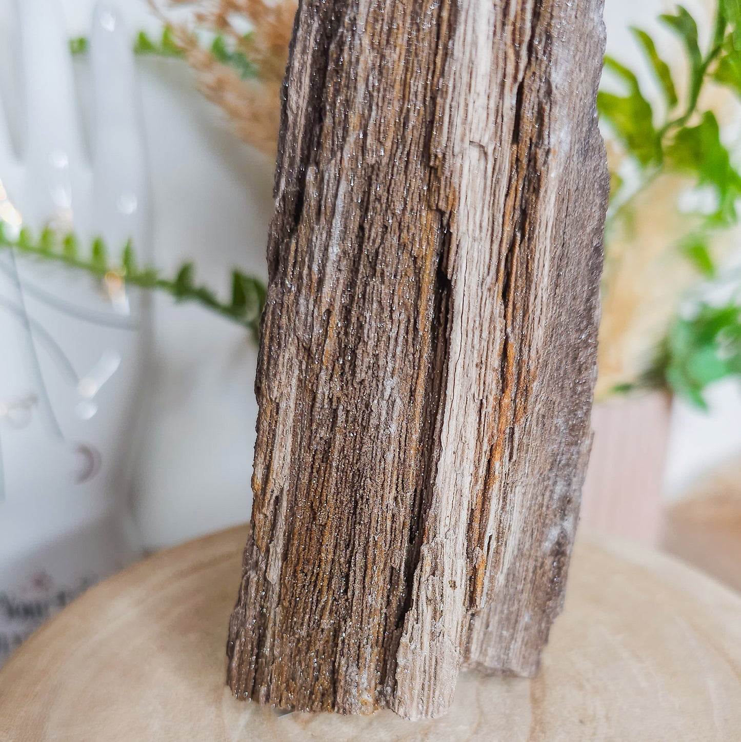 Rare Permineralized Wood (Petrified Wood) with very Sparkly Microcrystalline Quartz
