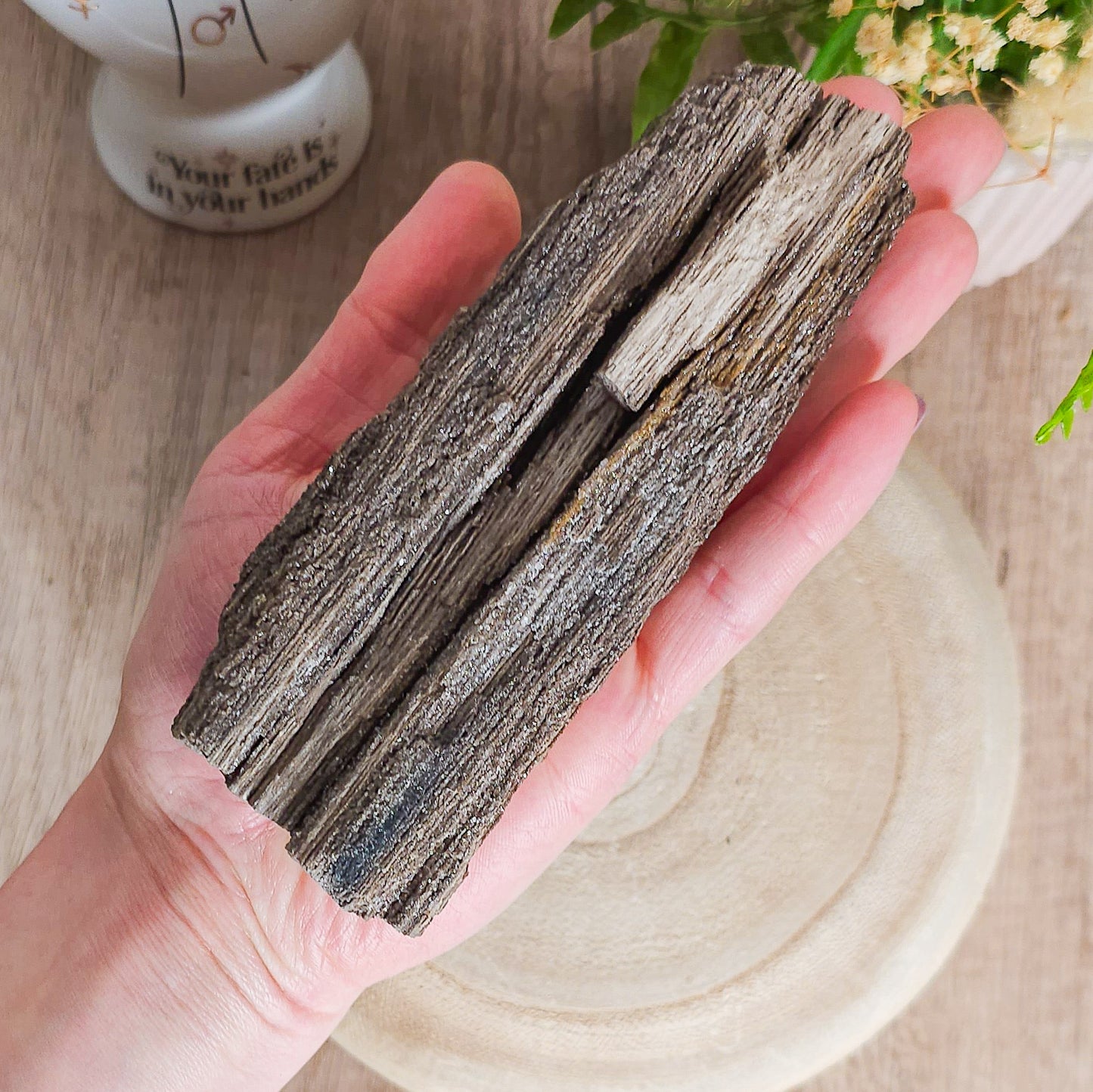 Rare Permineralized Wood (Petrified Wood) with very Sparkly Microcrystalline Quartz
